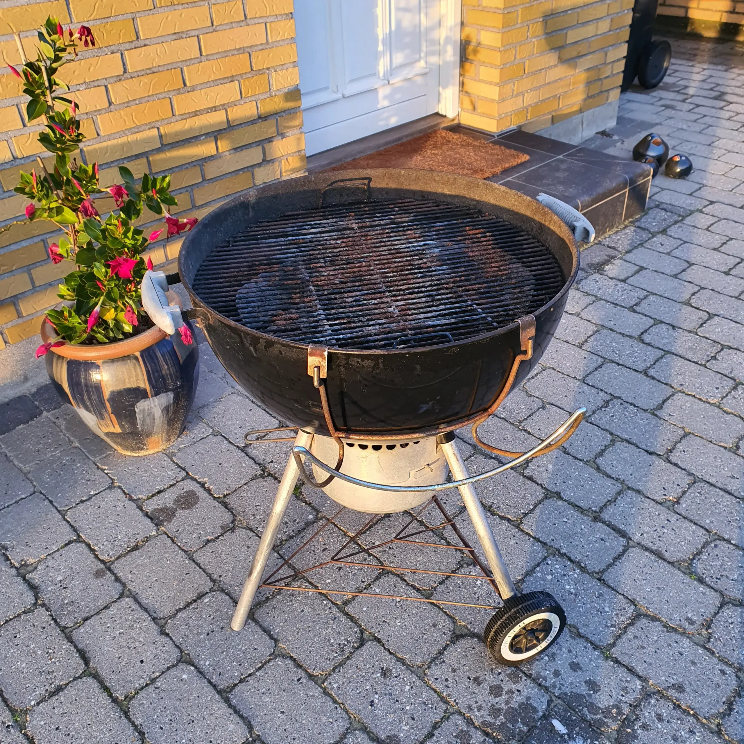 Weber Grill