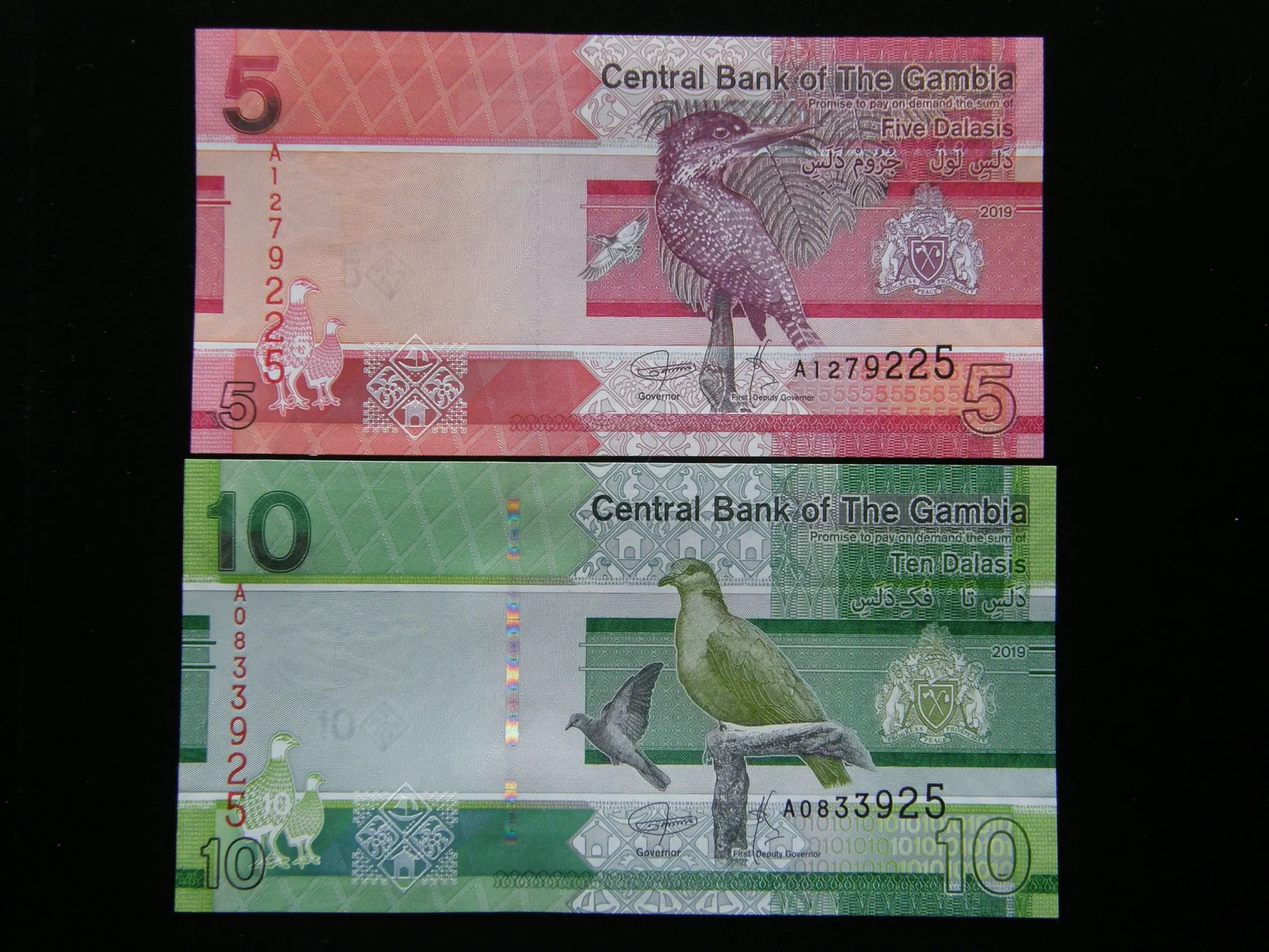 Gambia   5 Stk  Unc