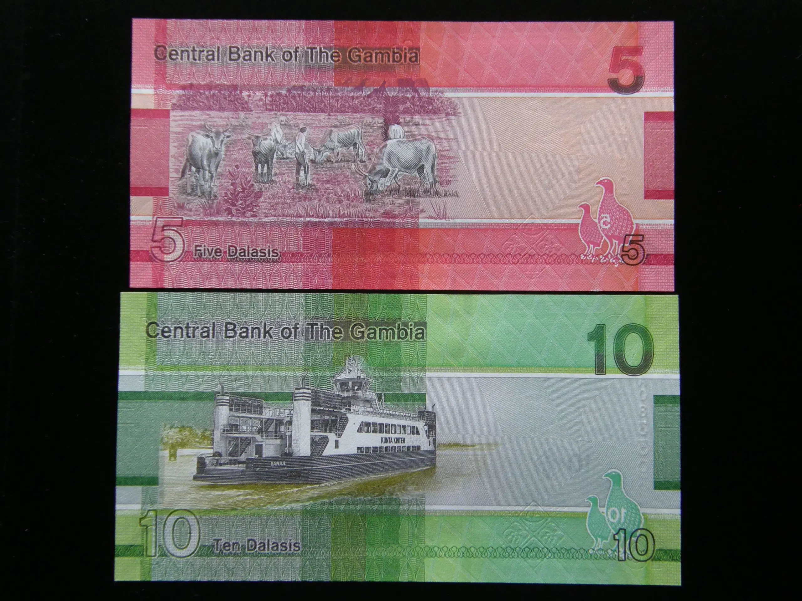 Gambia   5 Stk  Unc