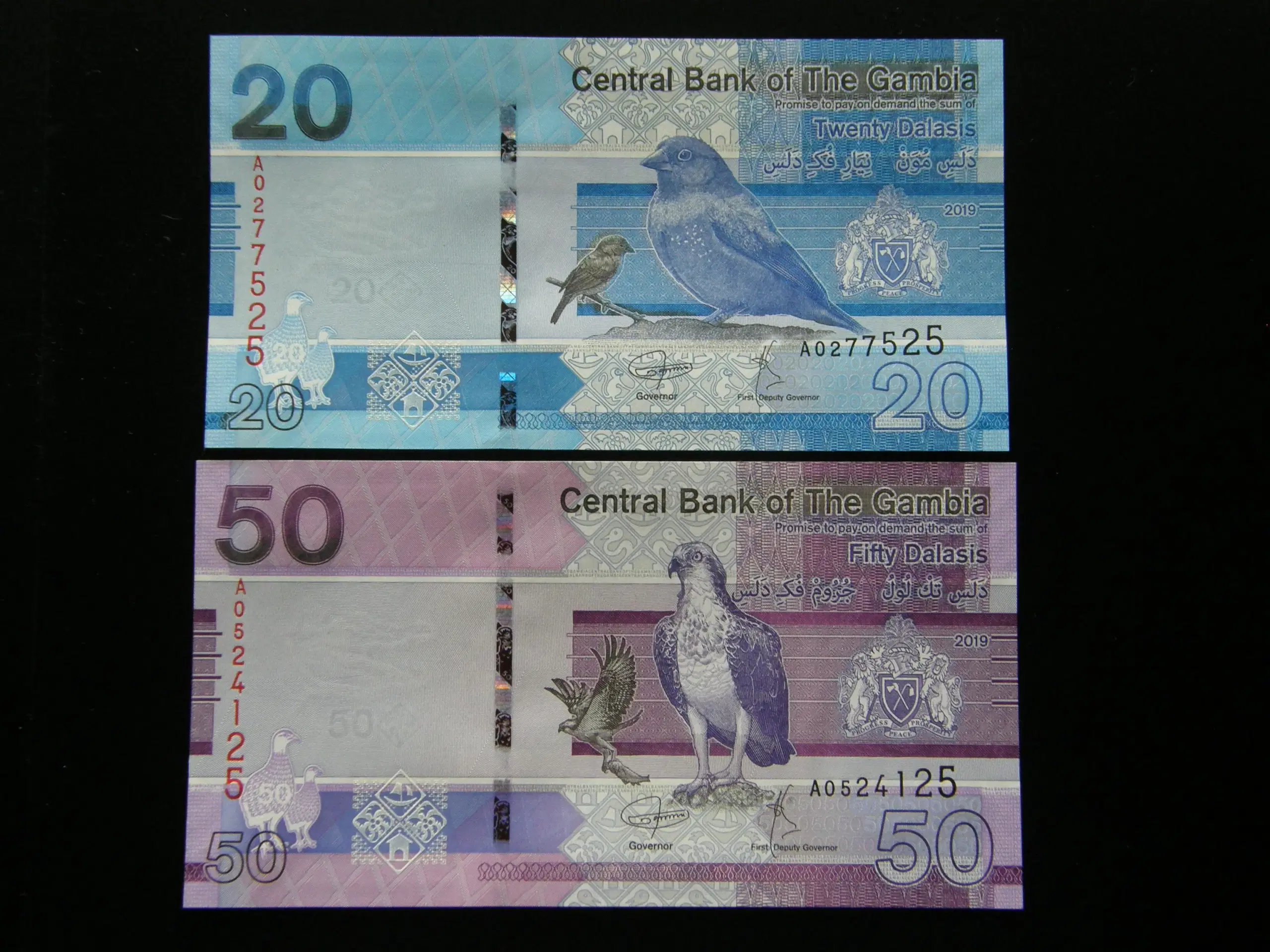 Gambia   5 Stk  Unc