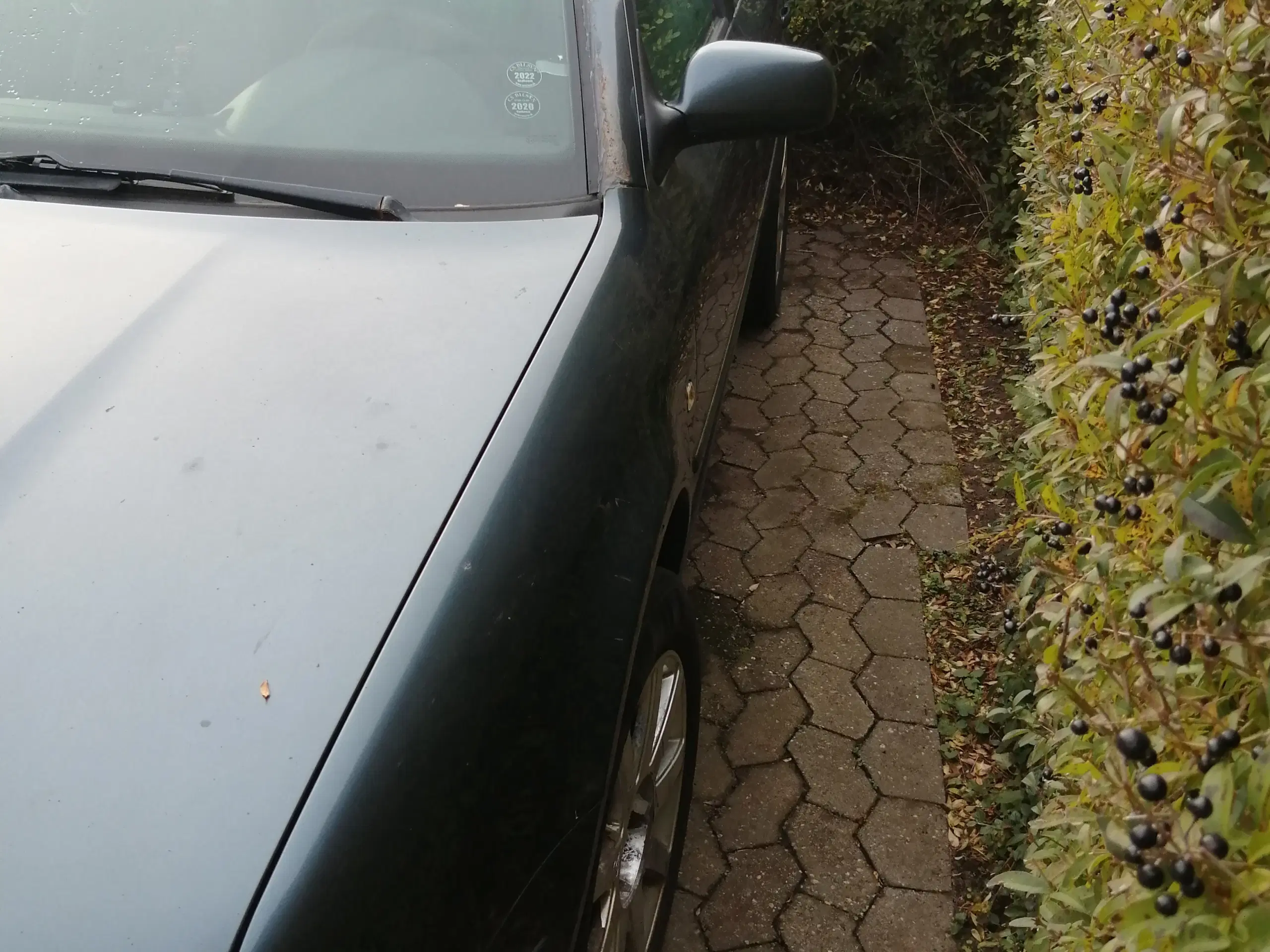 Skoda 1.9 tdi årg 2004