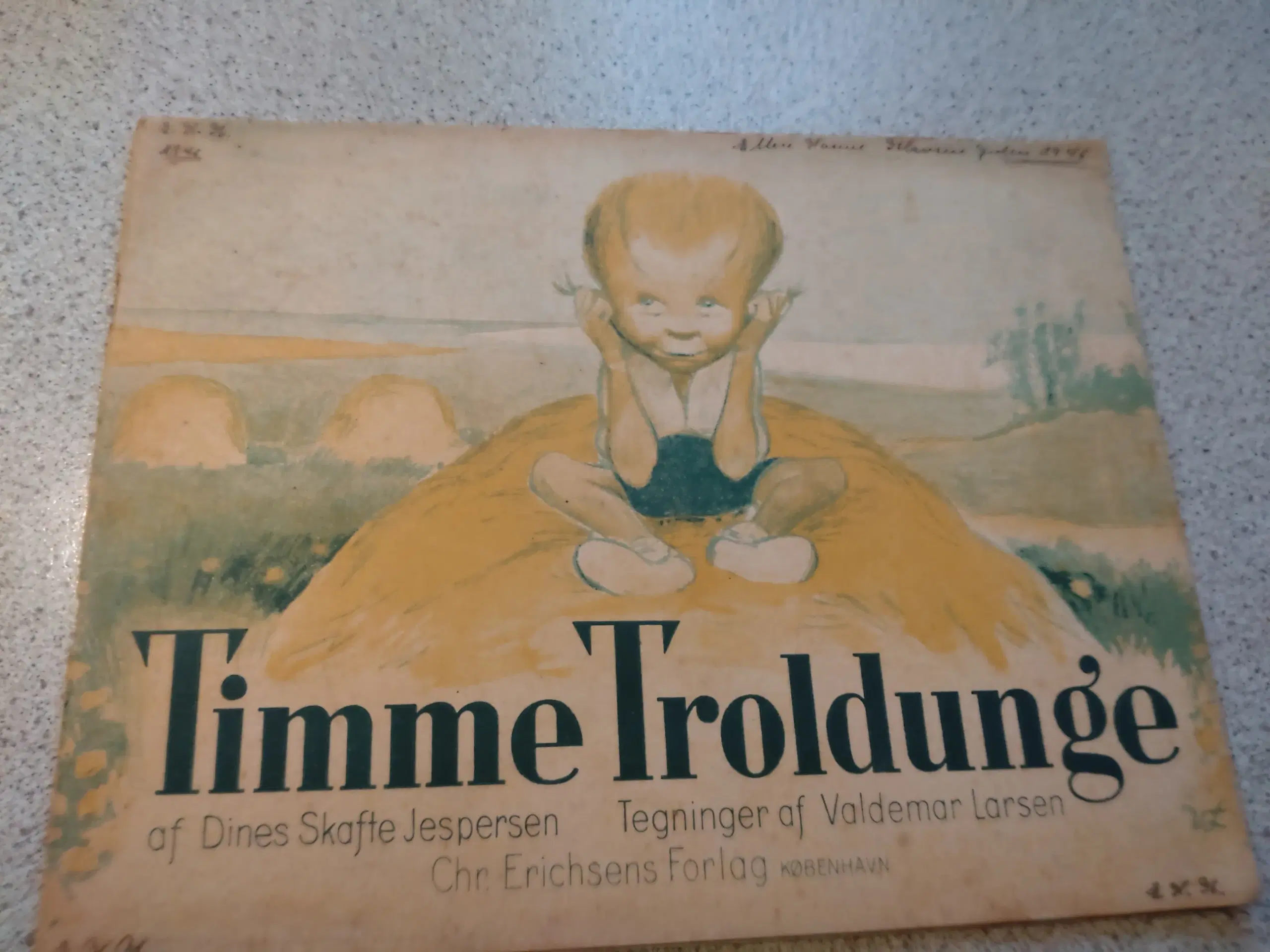 Timme Troldunge