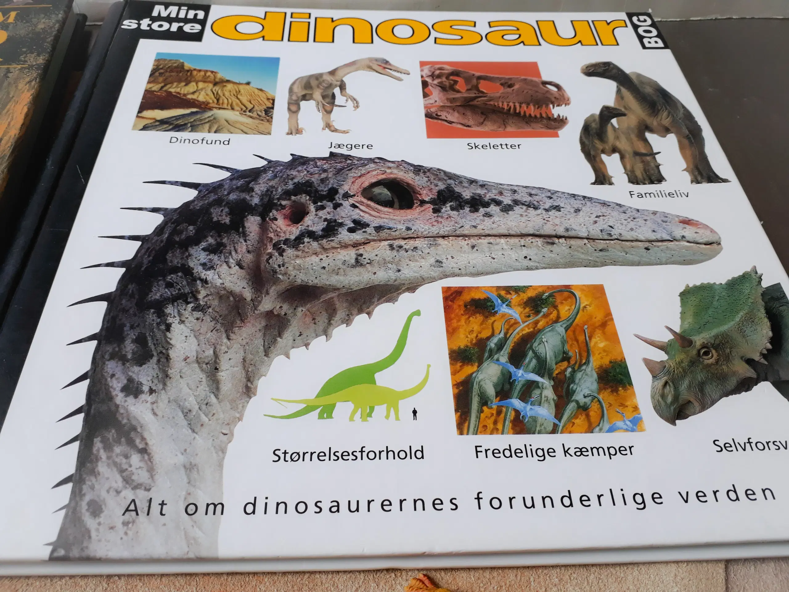 2 Dino Bøger 6 Dinosaur