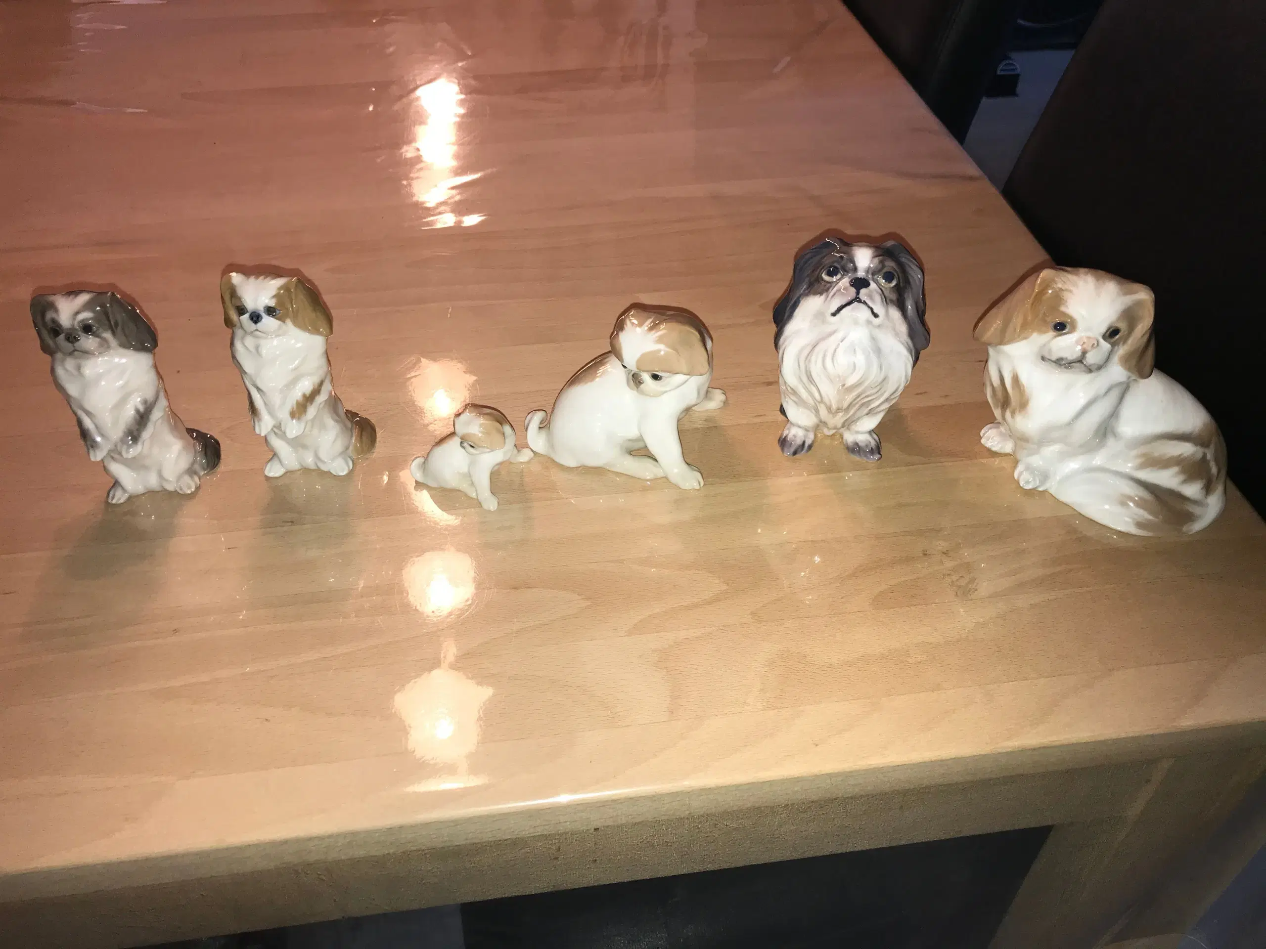 Porcelæns Pekingesere