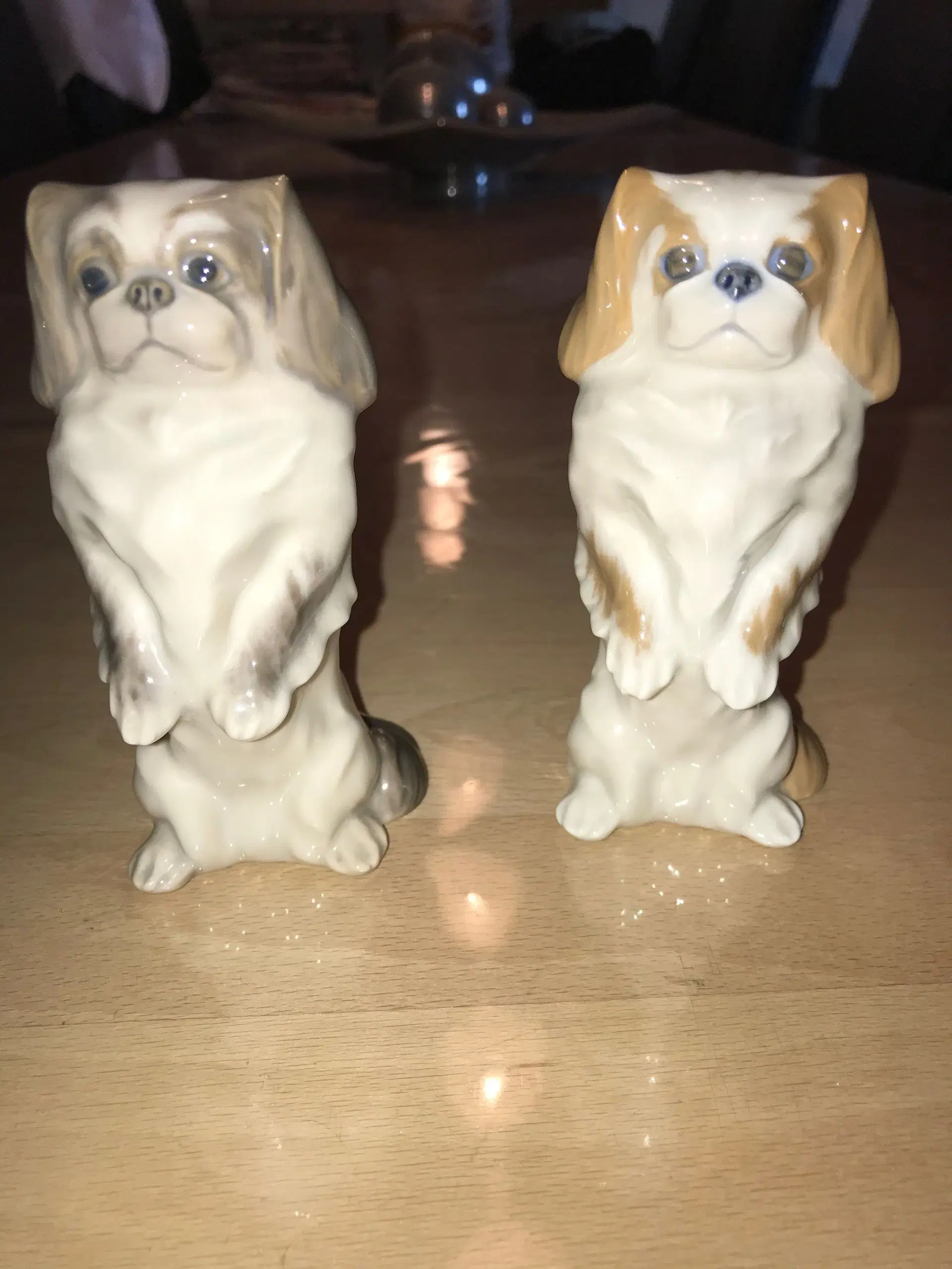 Porcelæns Pekingesere