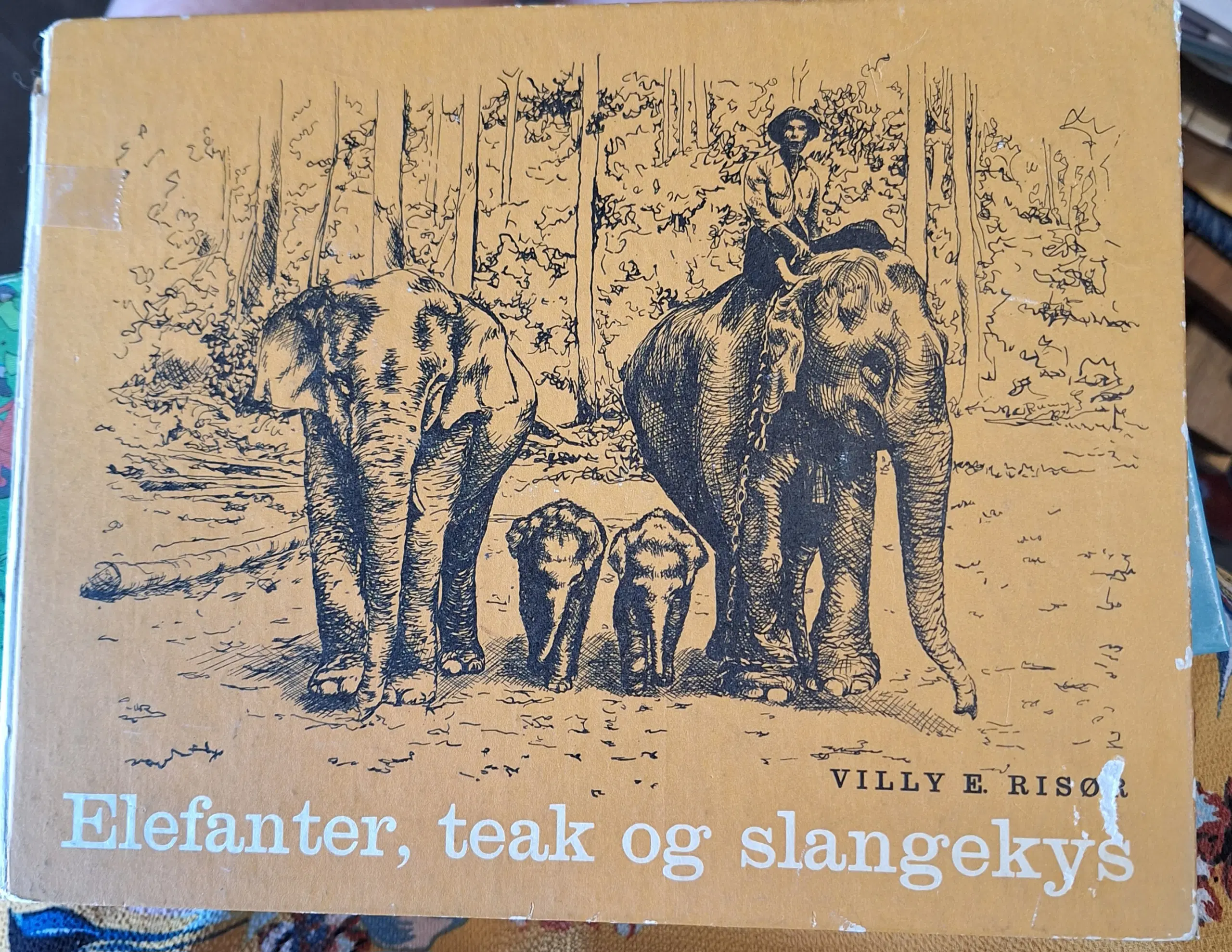 Elefanter teak og slangekys