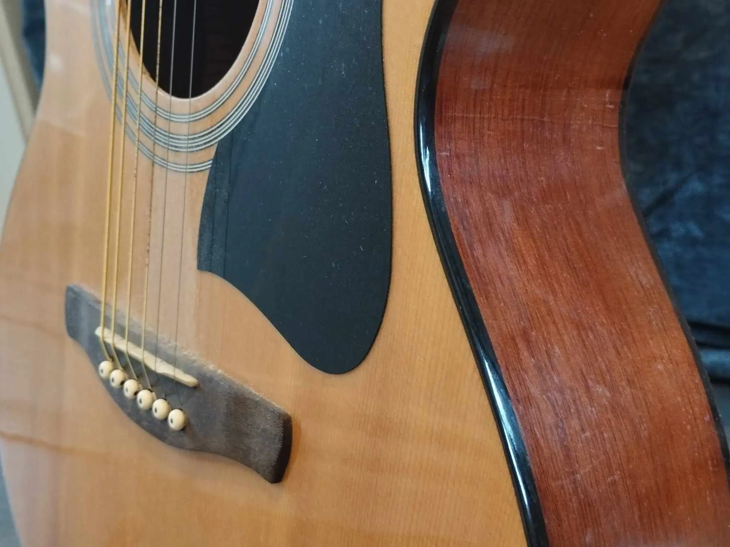 Ibanez Acoustic guitar