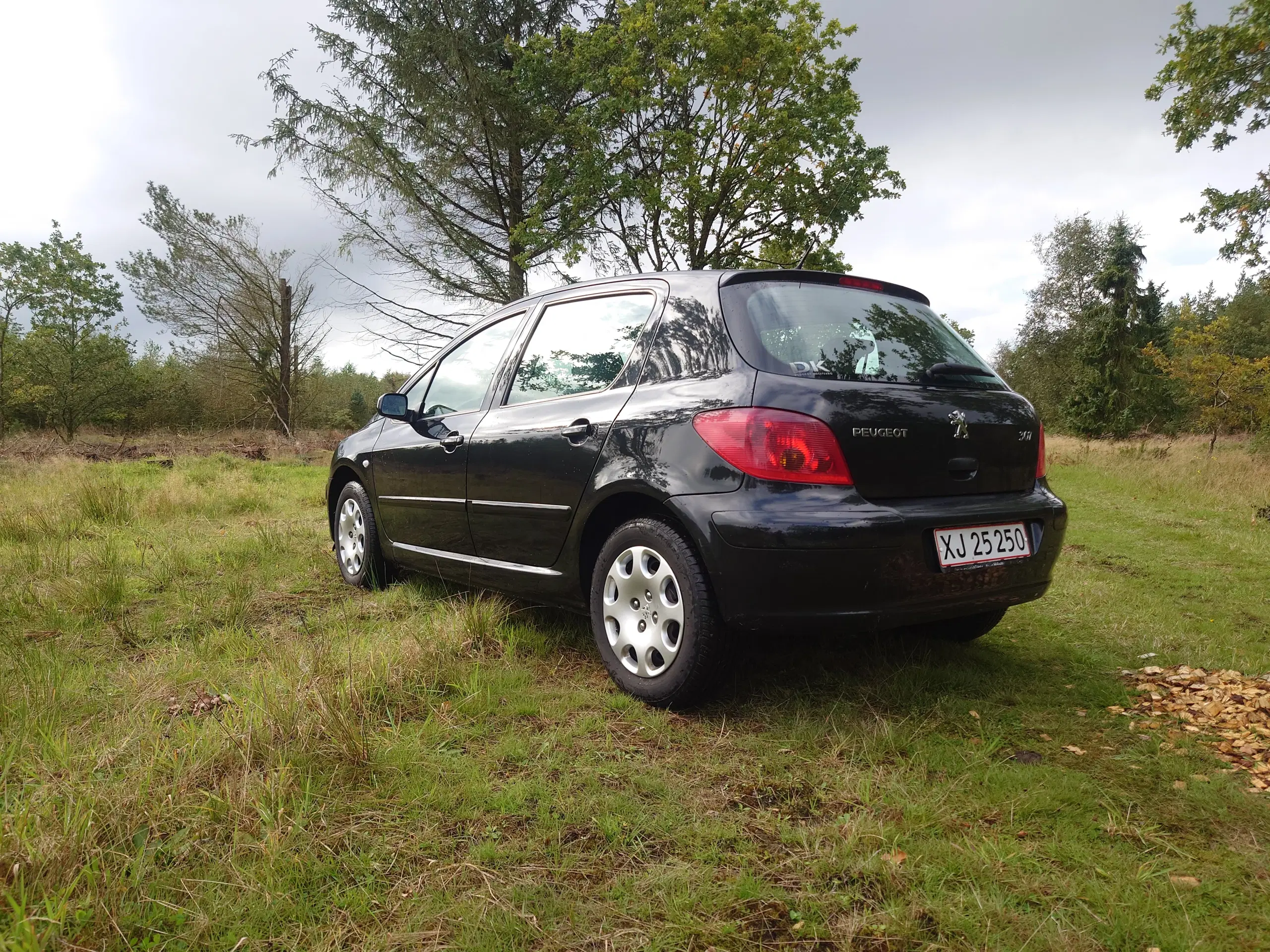 Sort Peugeot 307 fra 2005 – Din nye bedste ven 🚙