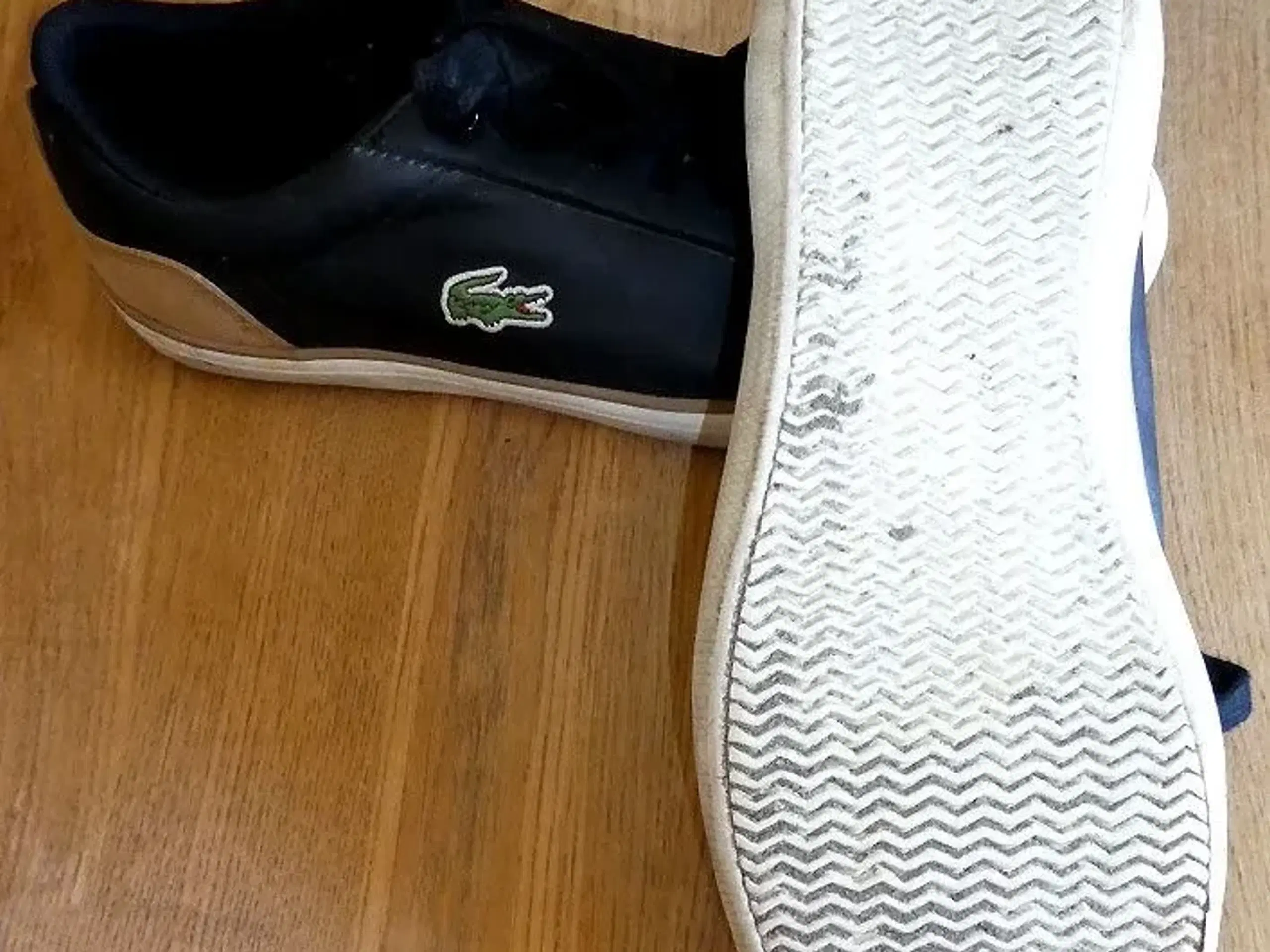 Lacoste sko