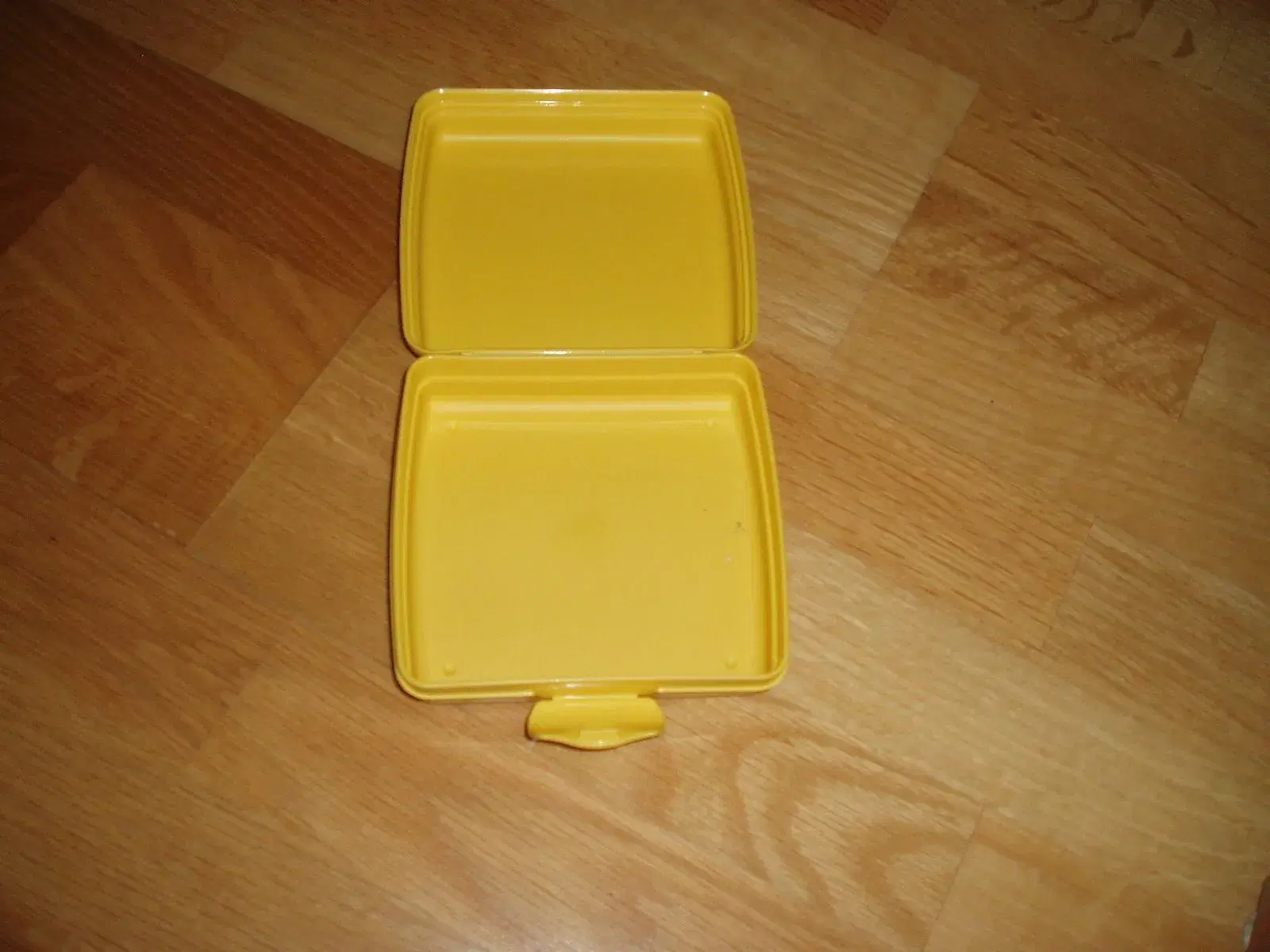 Tupperware sandwich box