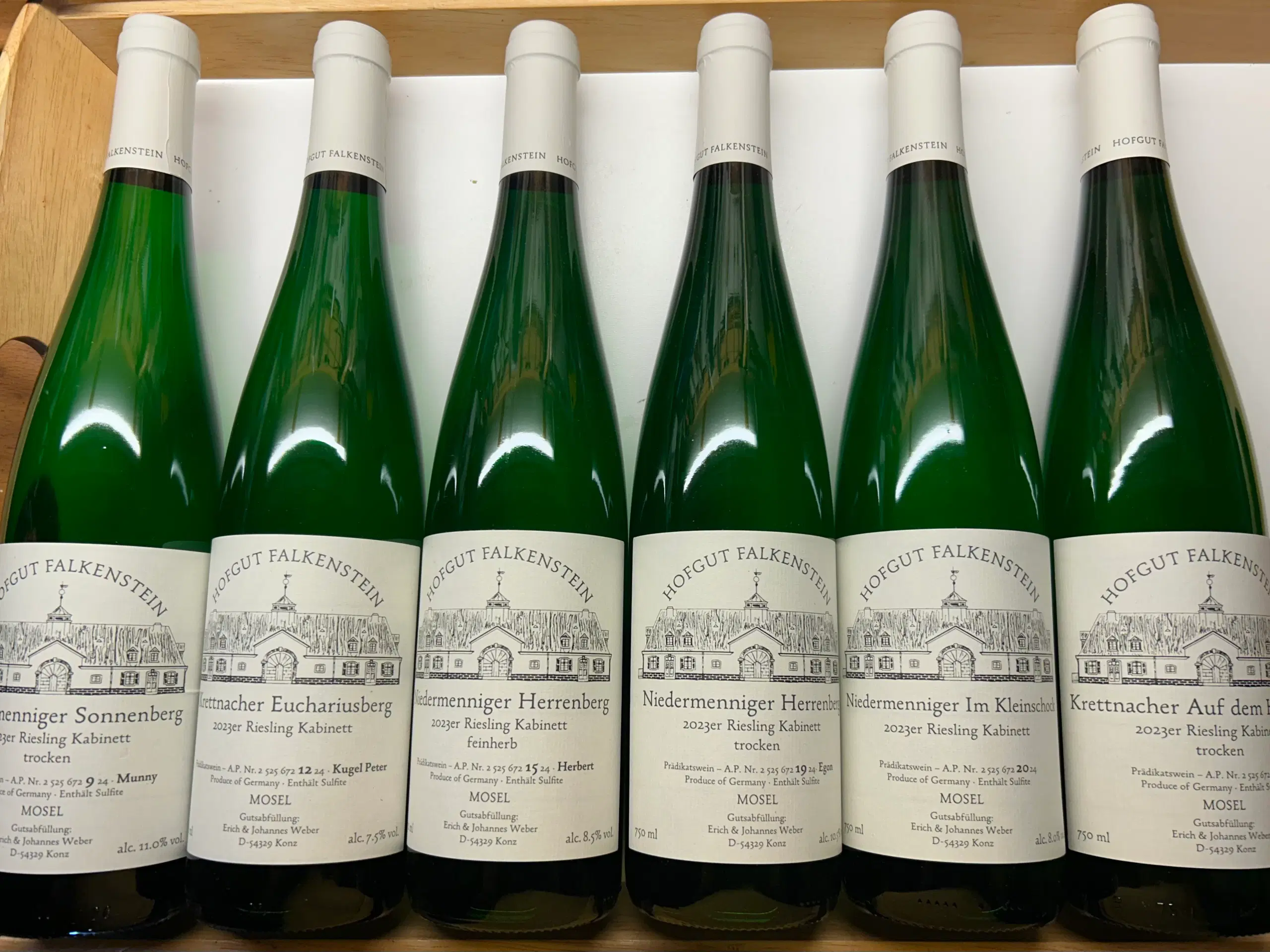 Hofgut Falkenstein 2023 - 6 fl - riesling