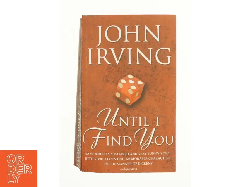 Until I Find You af Irving John (Bog)