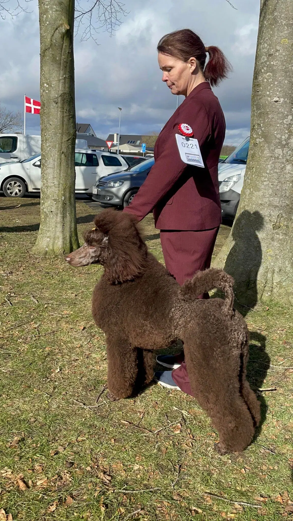 Hundefrisør/trimming/groomer