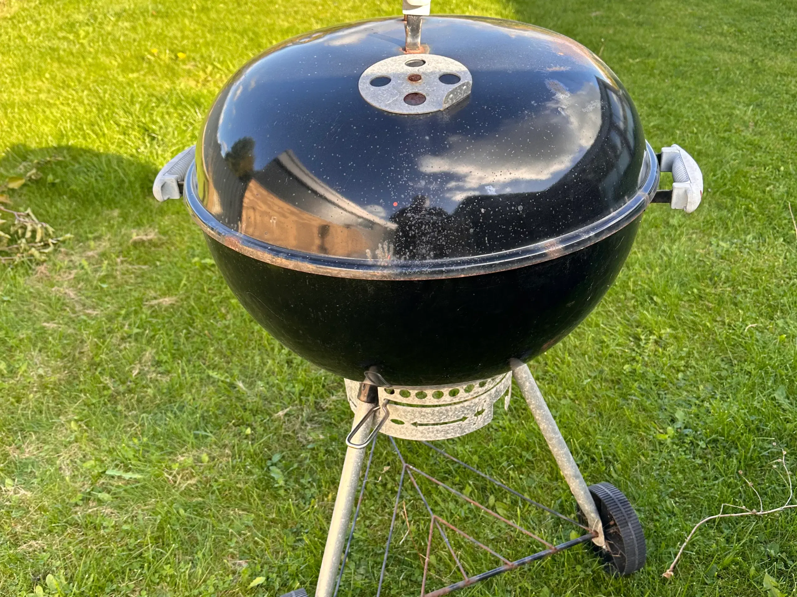 Weber kuglegrill