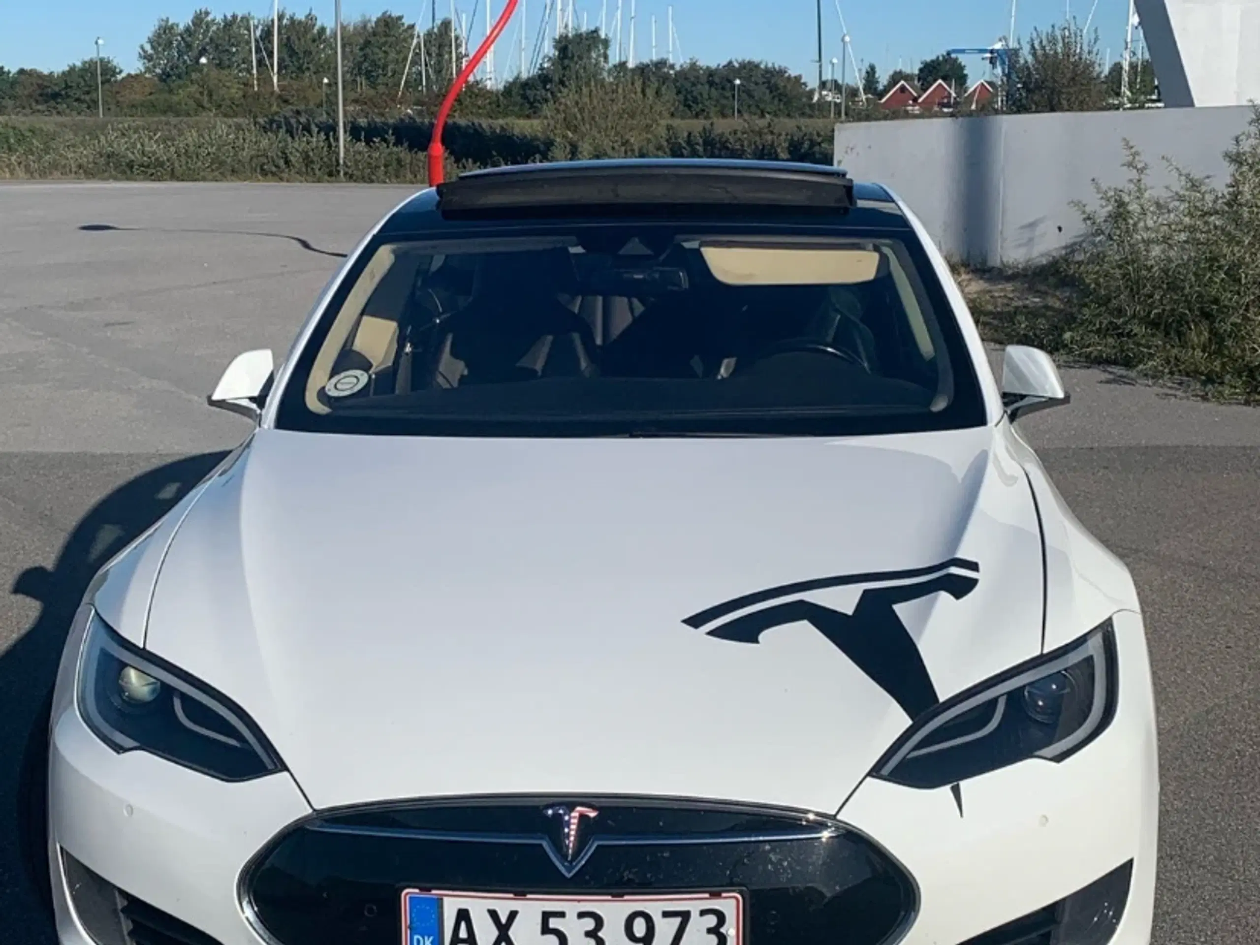 TESLA MODEL S - EVETESLA EDITION