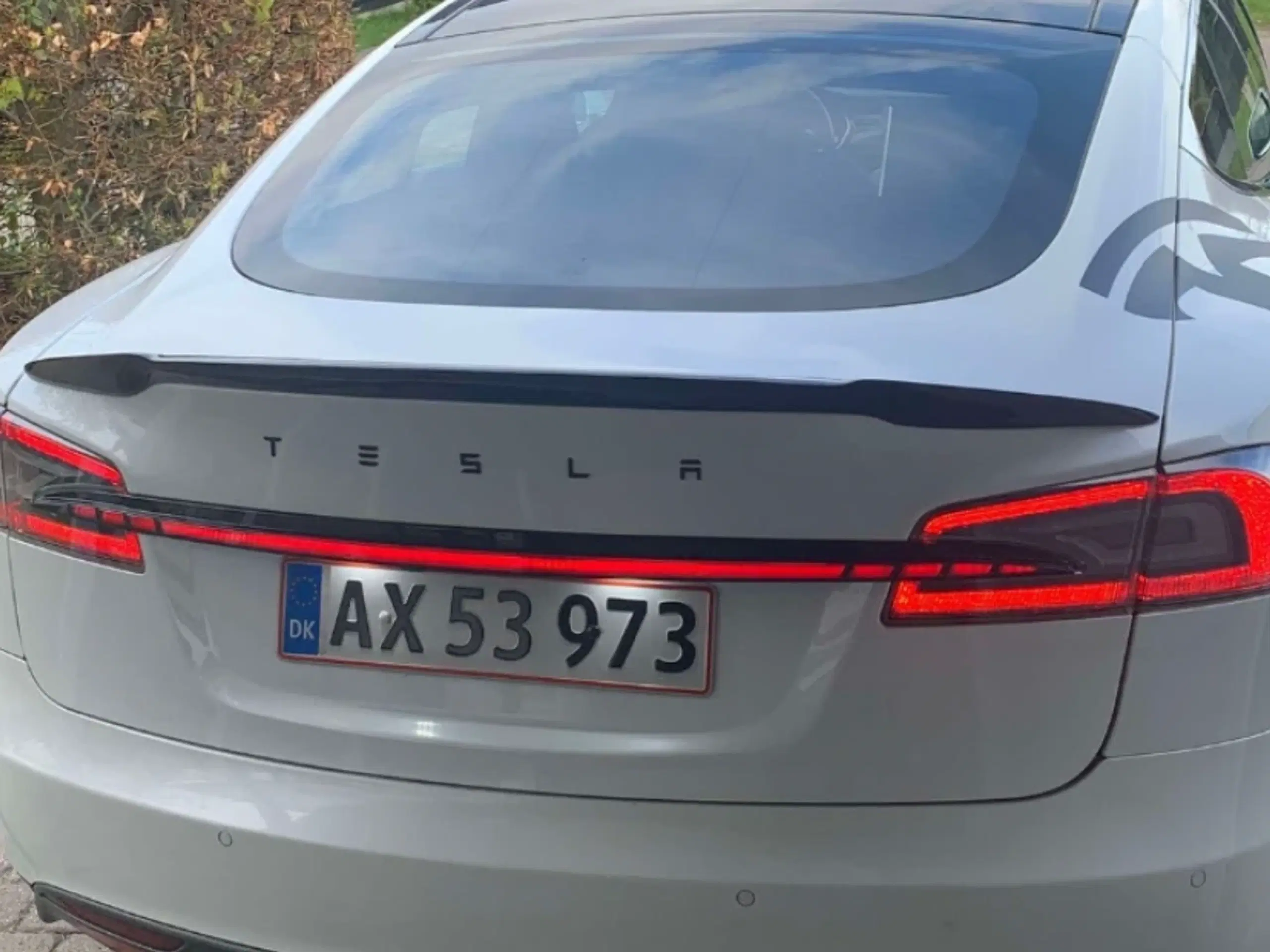 TESLA MODEL S - EVETESLA EDITION