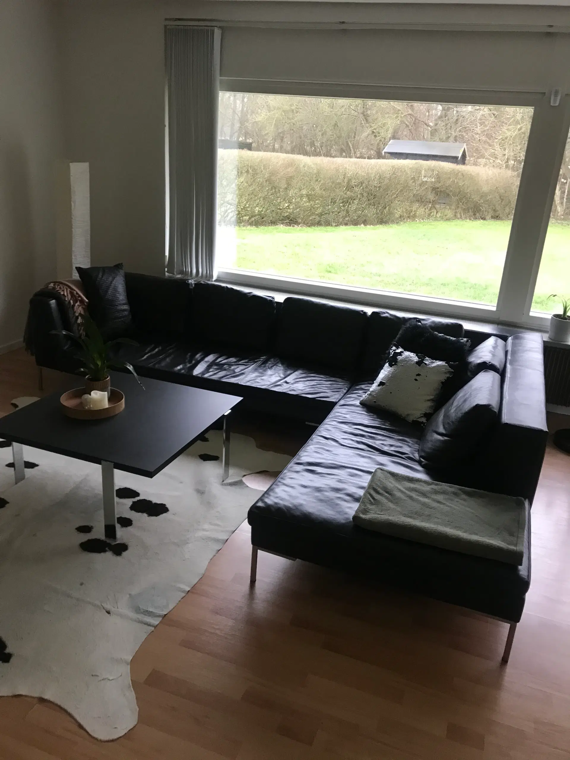 Lædersofa