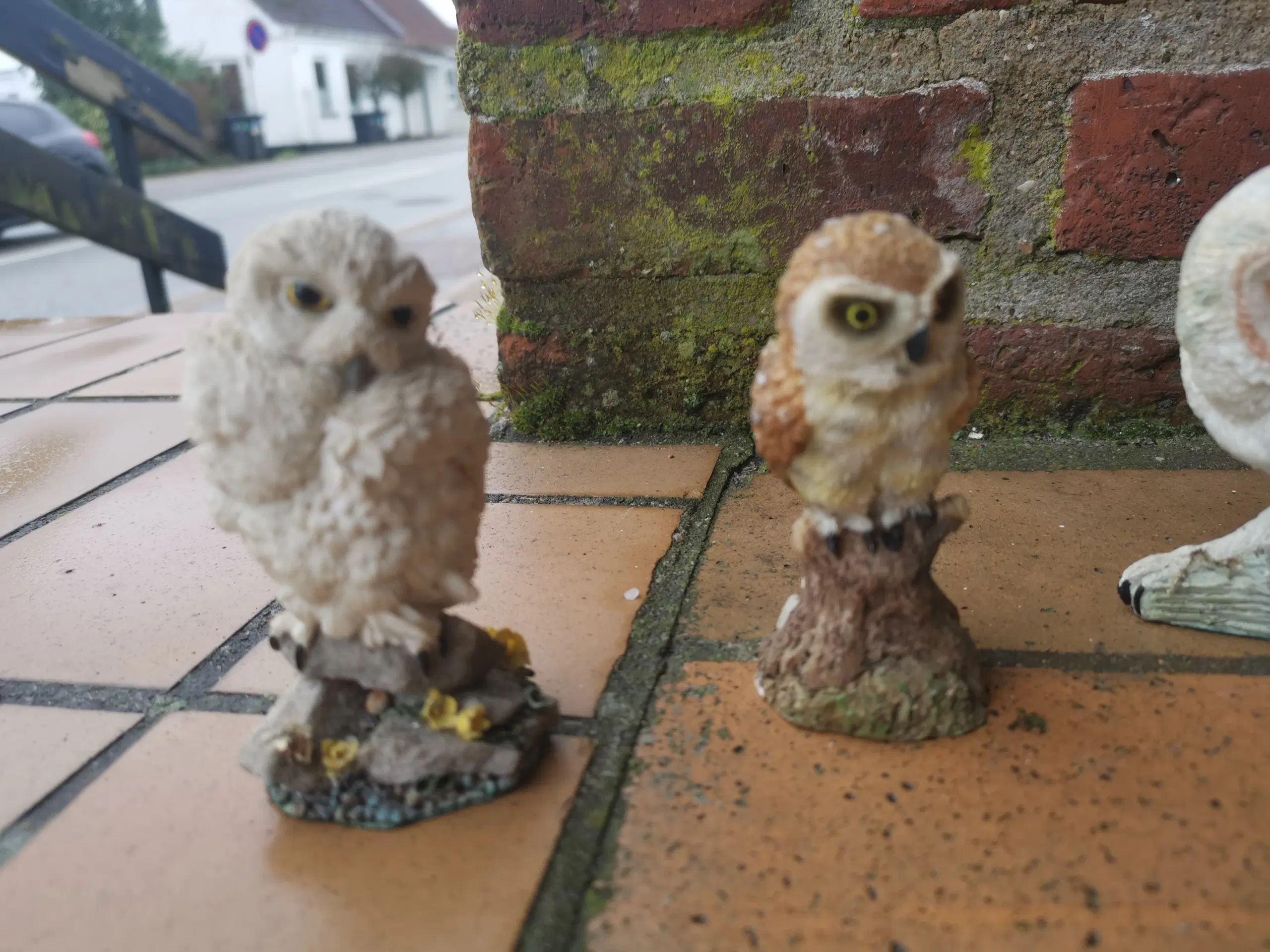 The Magnificent World of Owls Figurer Ugler