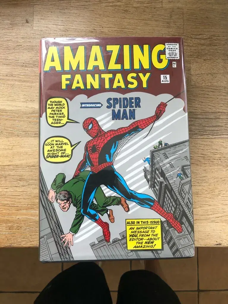 The Amazing Spider-Man - Omnibus Vol 1