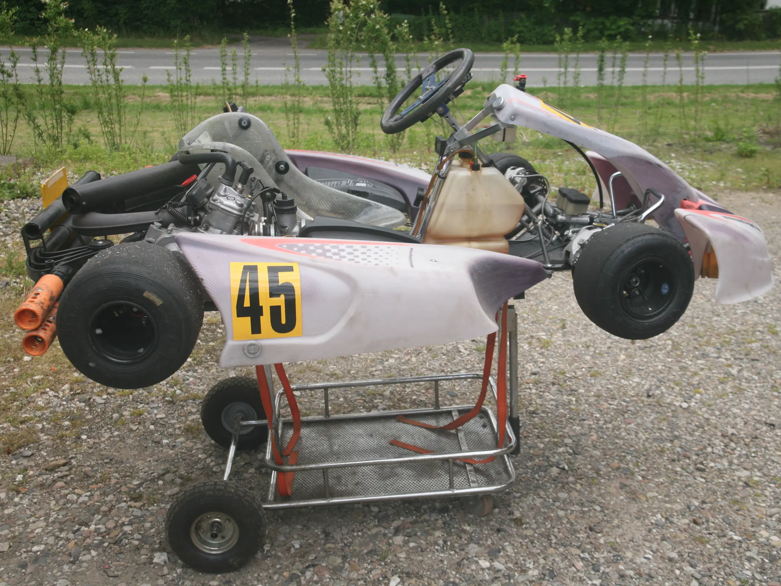 RM1 rotax DD2 gokart