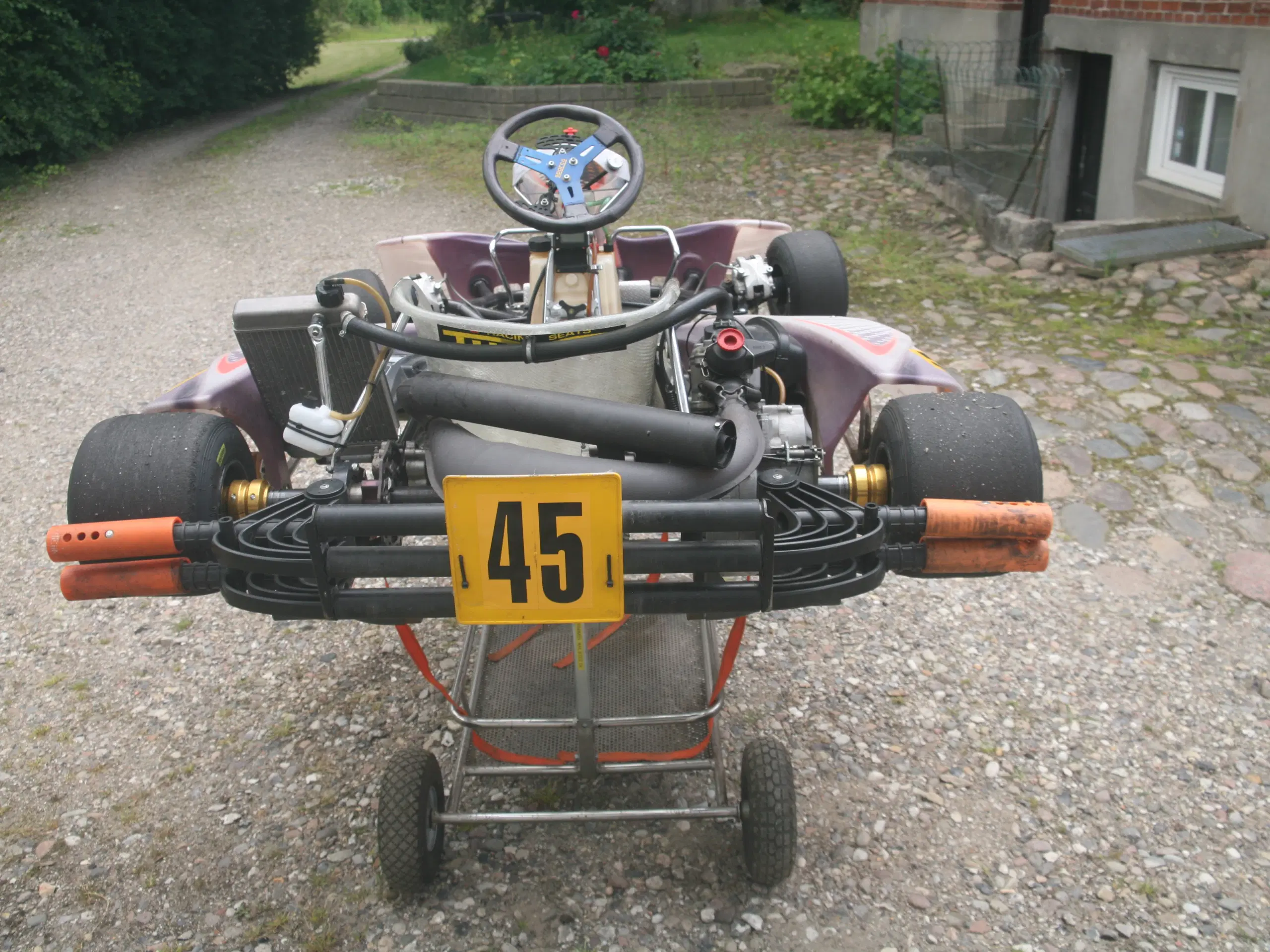 RM1 rotax DD2 gokart