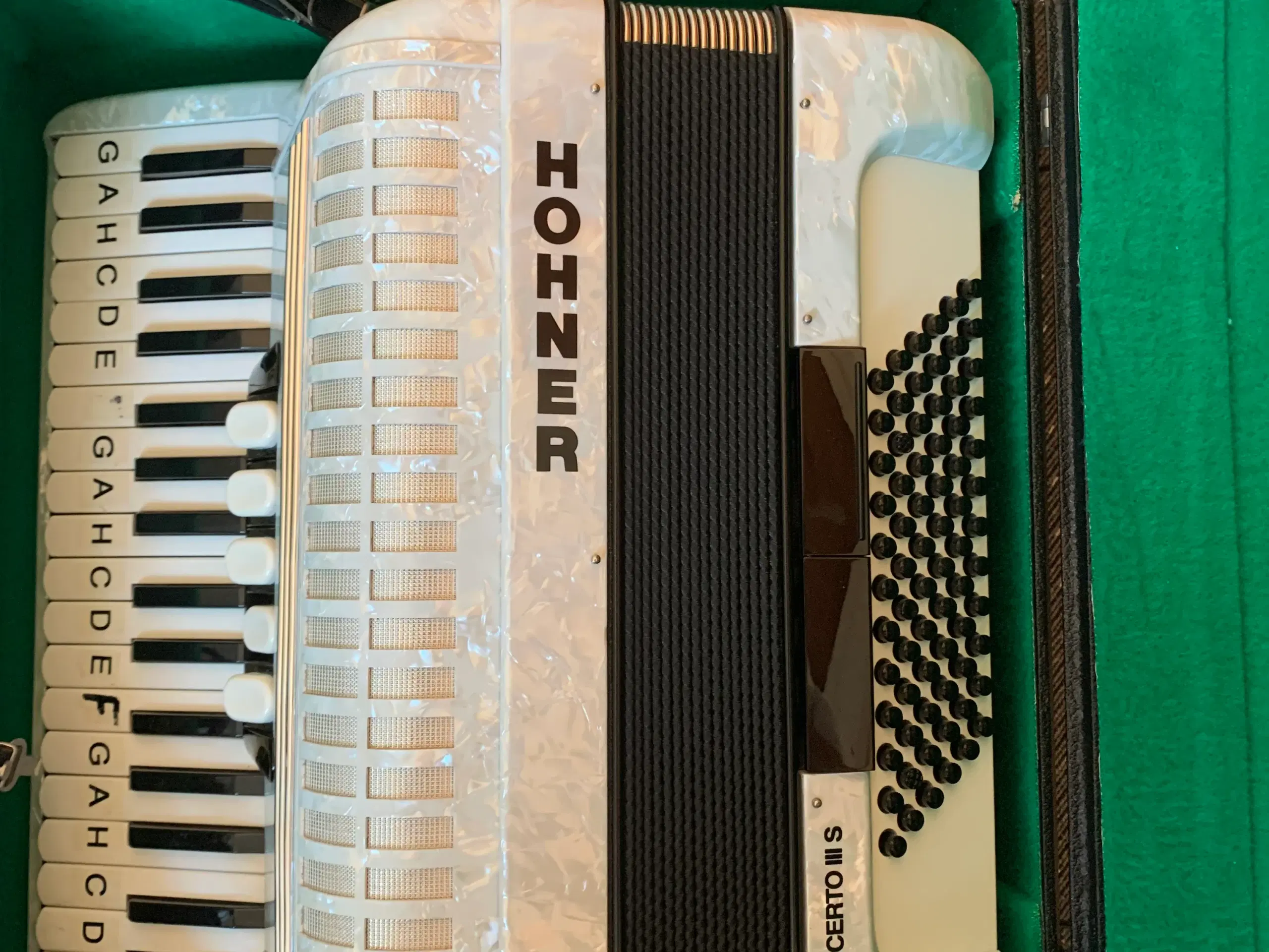 Hohner harmonika