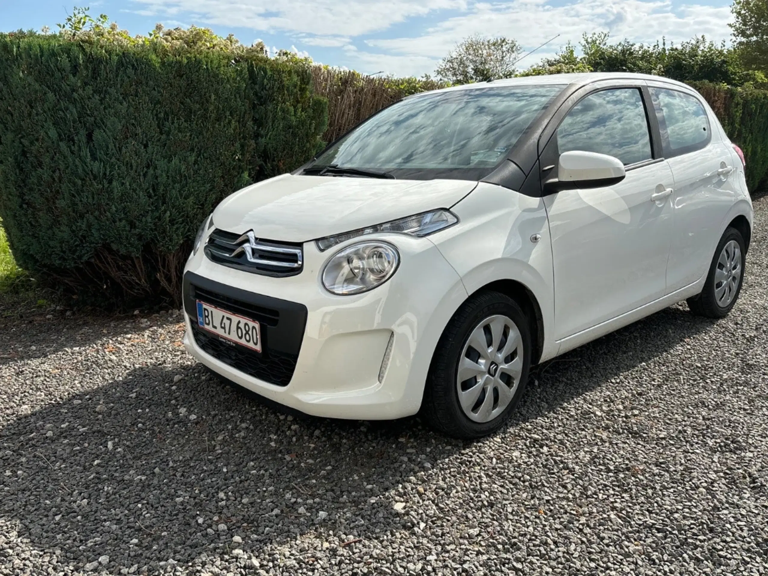 Citroën C1 Fuld servicebog