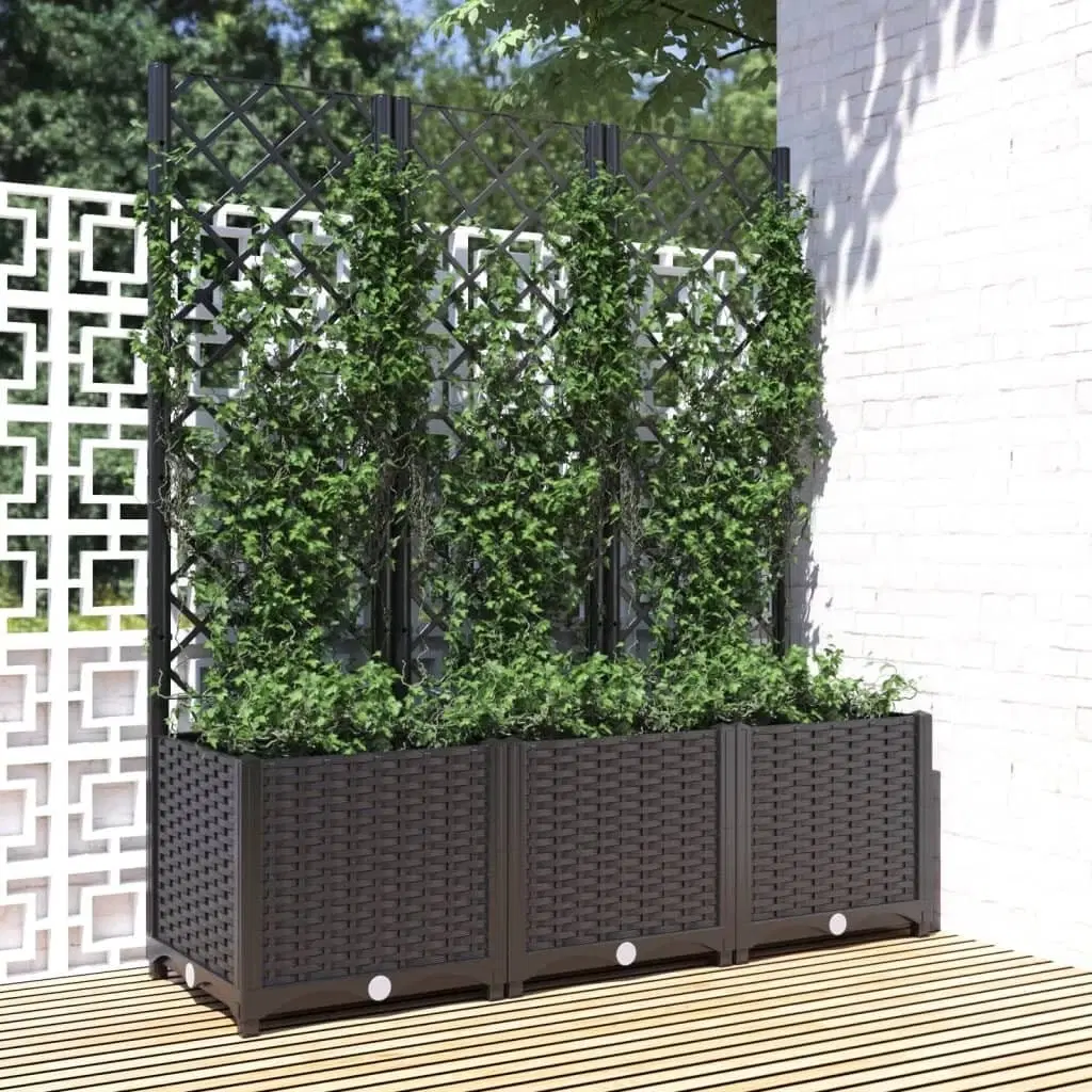 Plantekasse med espalier 120x40x136 cm PP sort