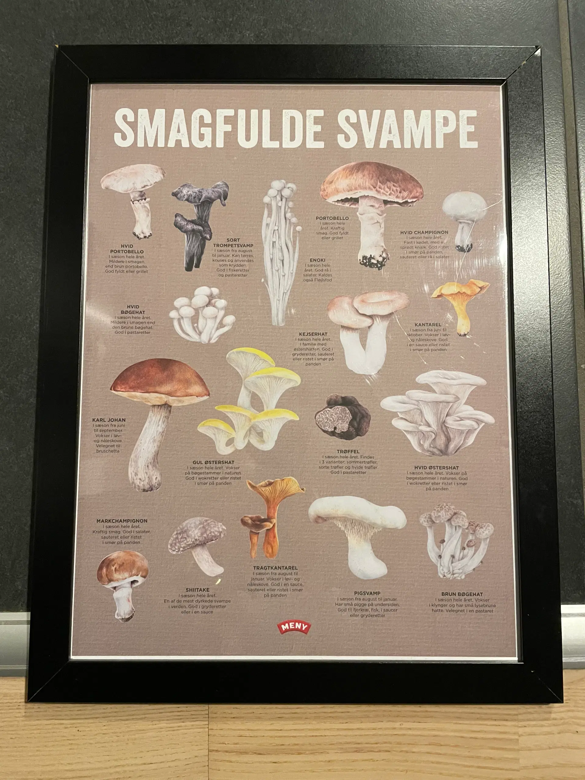 Svampeplakat i ramme