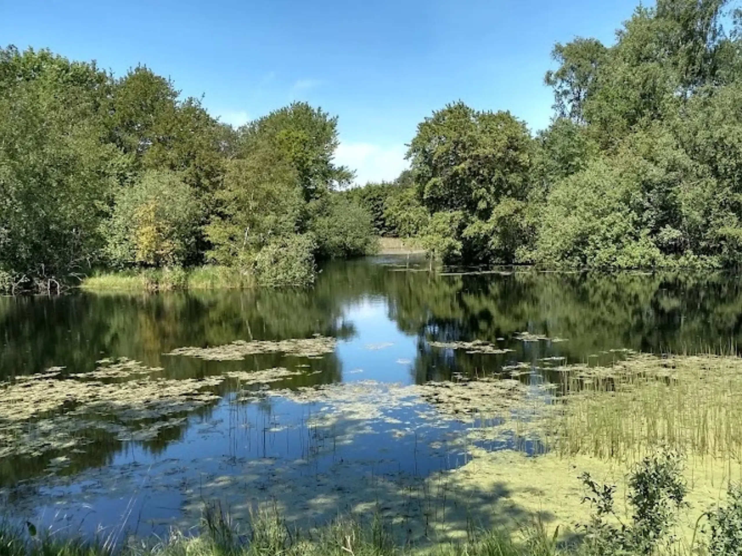 Jagt ejendom på 11,2Ha, særligt natur og egen sø.