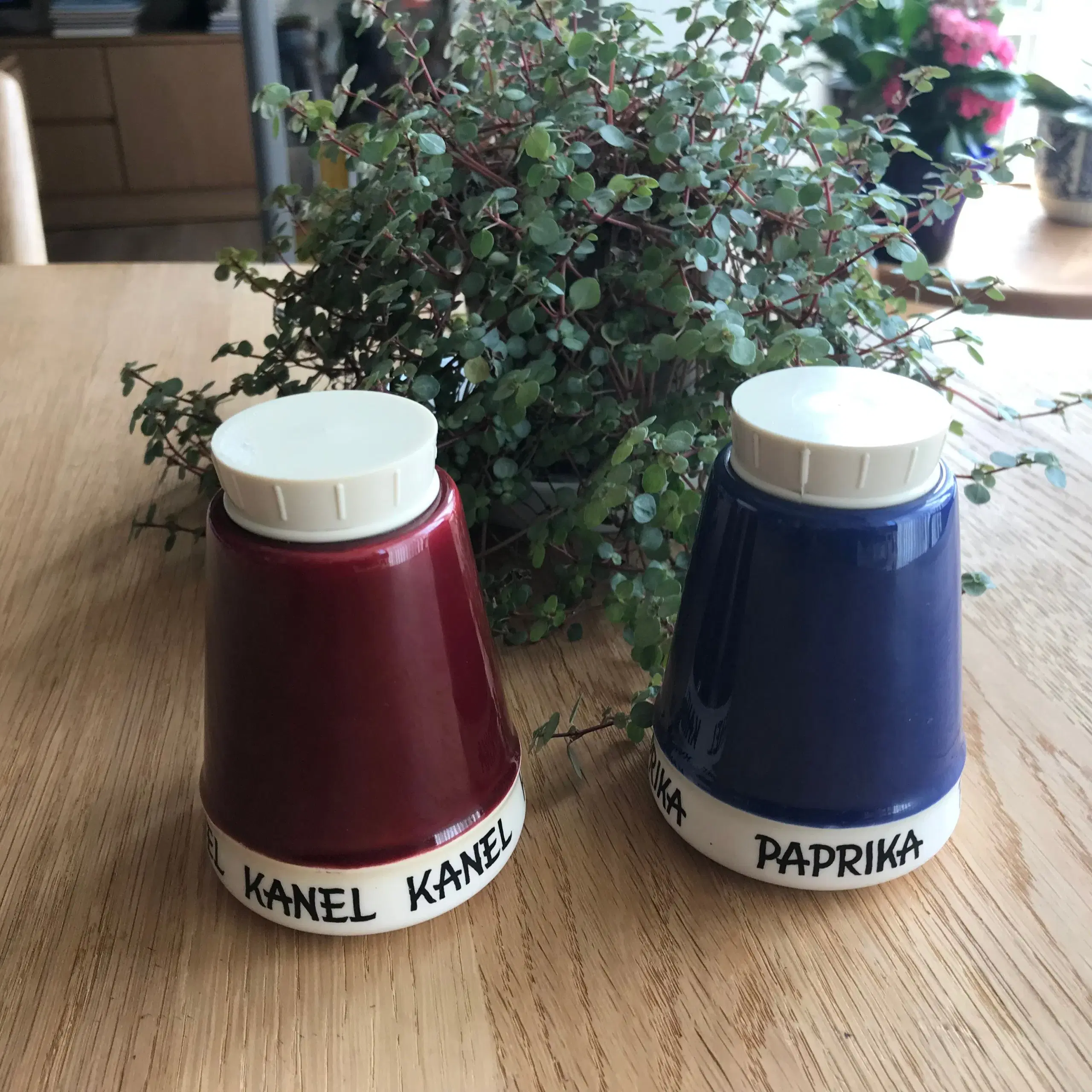 Kronjyden -  Krydderikrukker -  Kanel og paprika