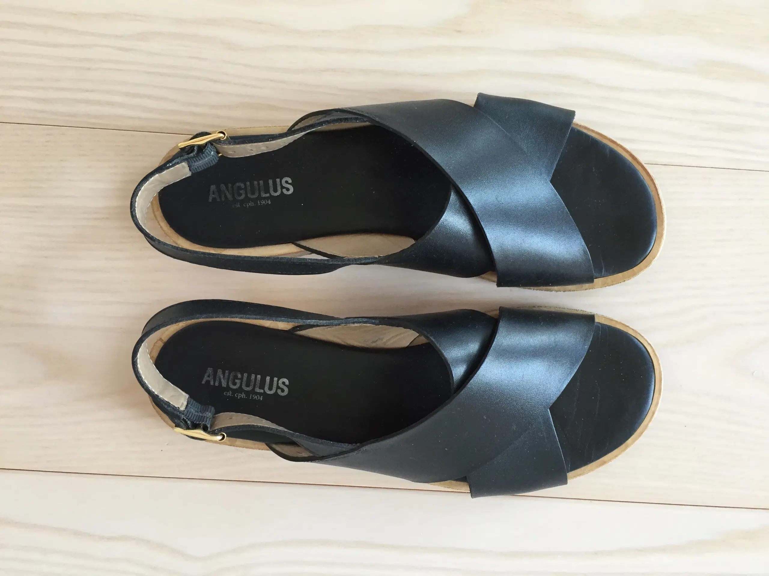 Angulus dame sandal