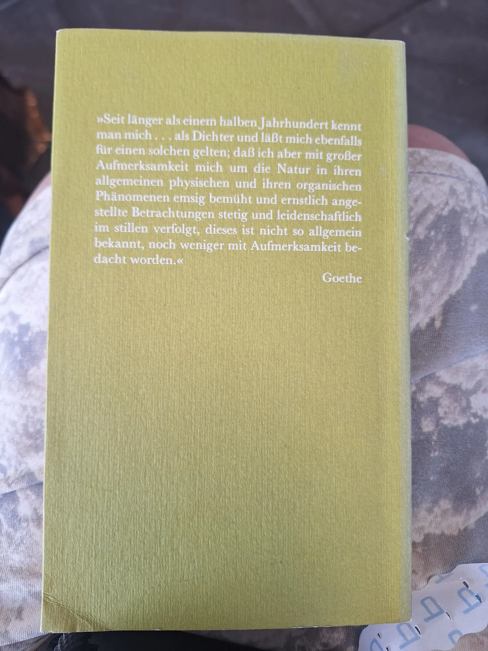 Alfred Schmidt Goethes herlich 