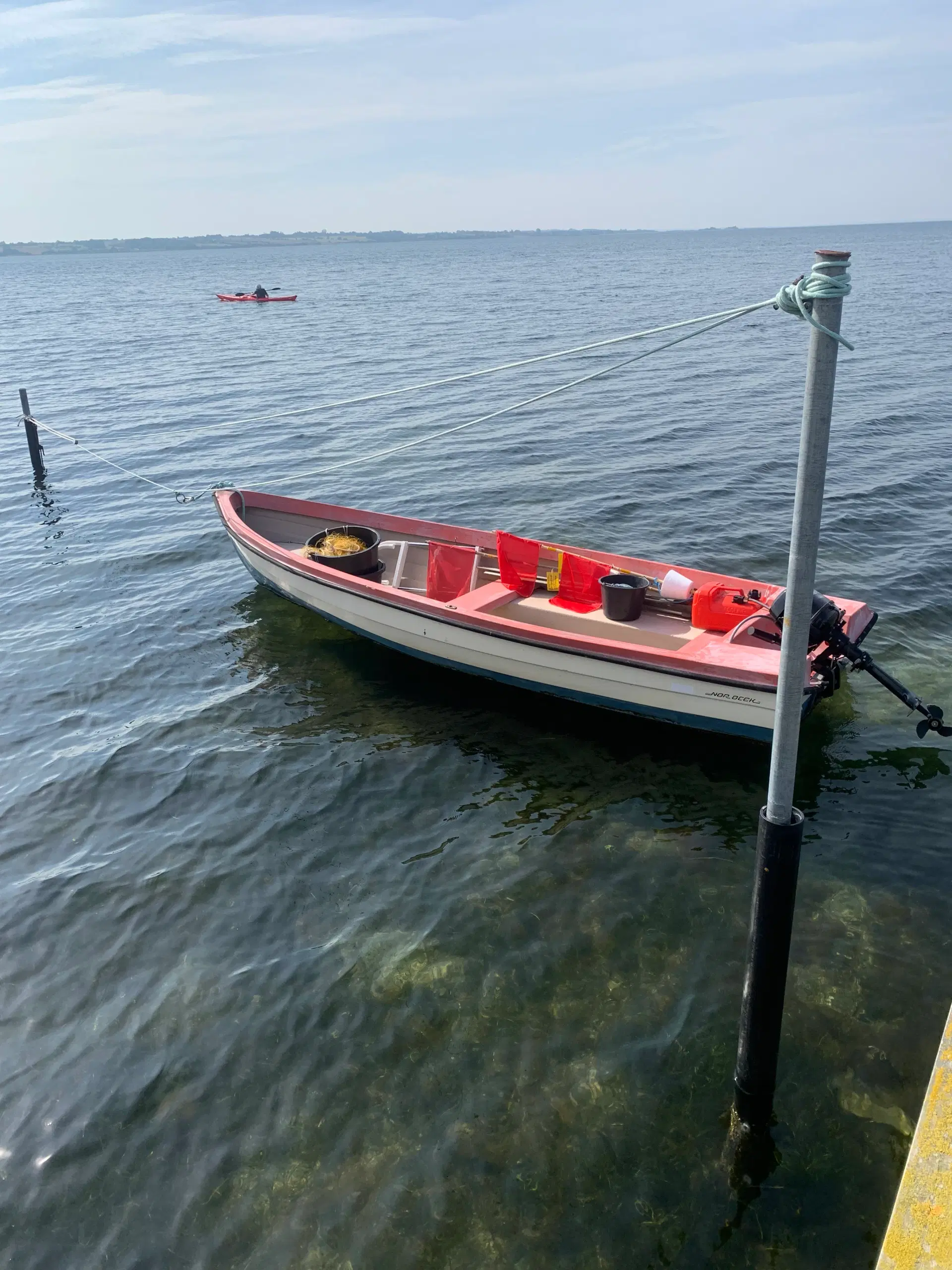 Jolle 14 fods med bådtrailer