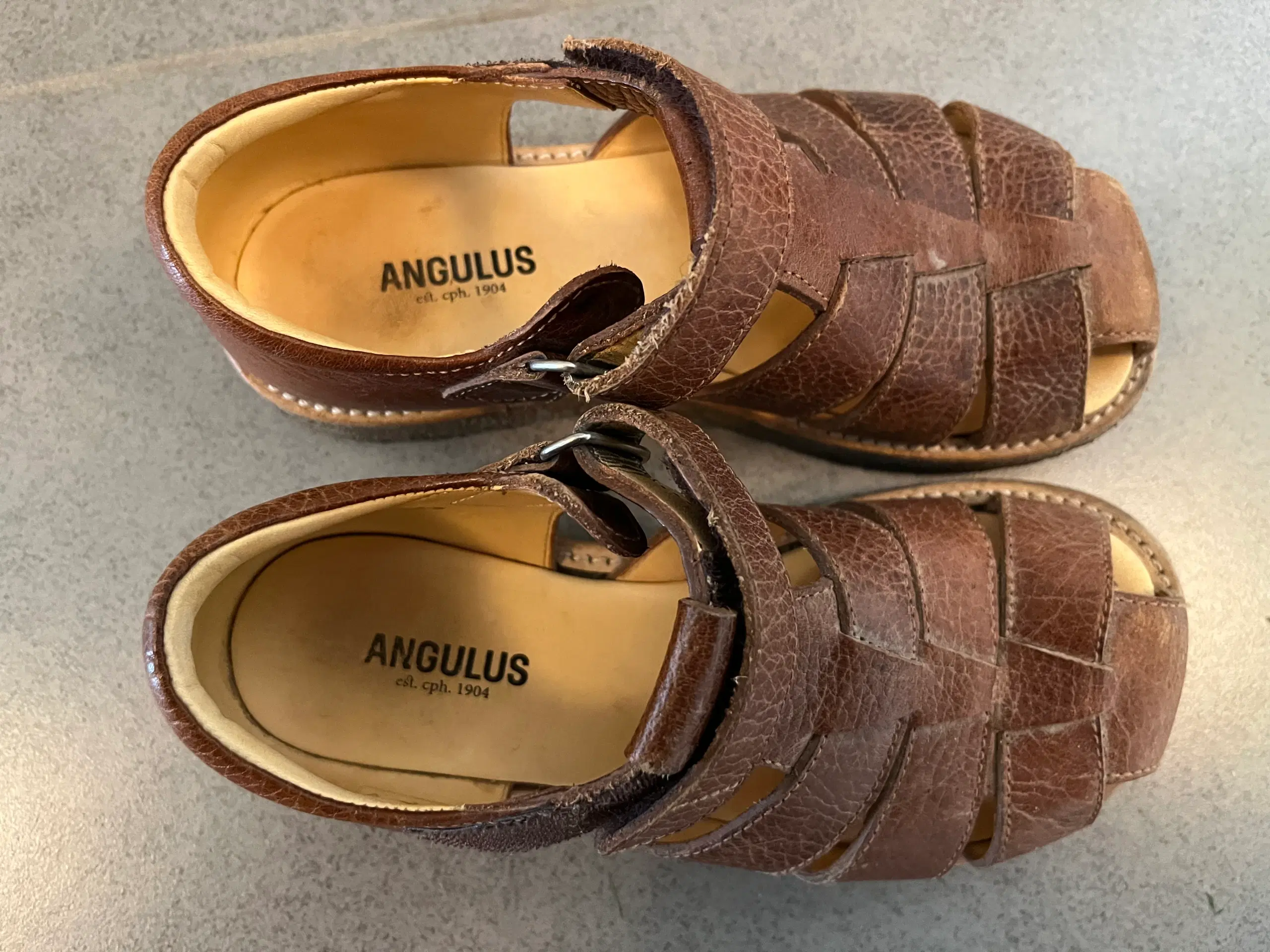 Angulus sandaler