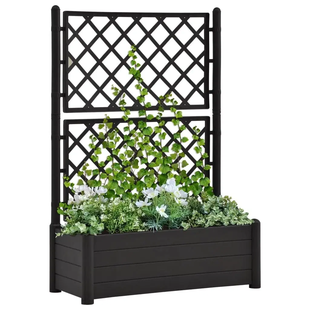 Plantekasse med espalier 100x43x142 cm PP antracitgrå