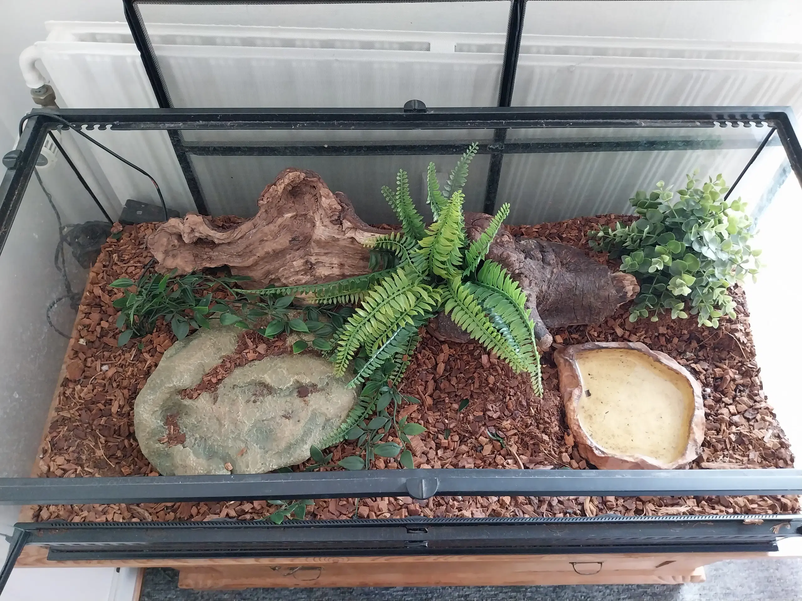 Kongepyton med terrarium