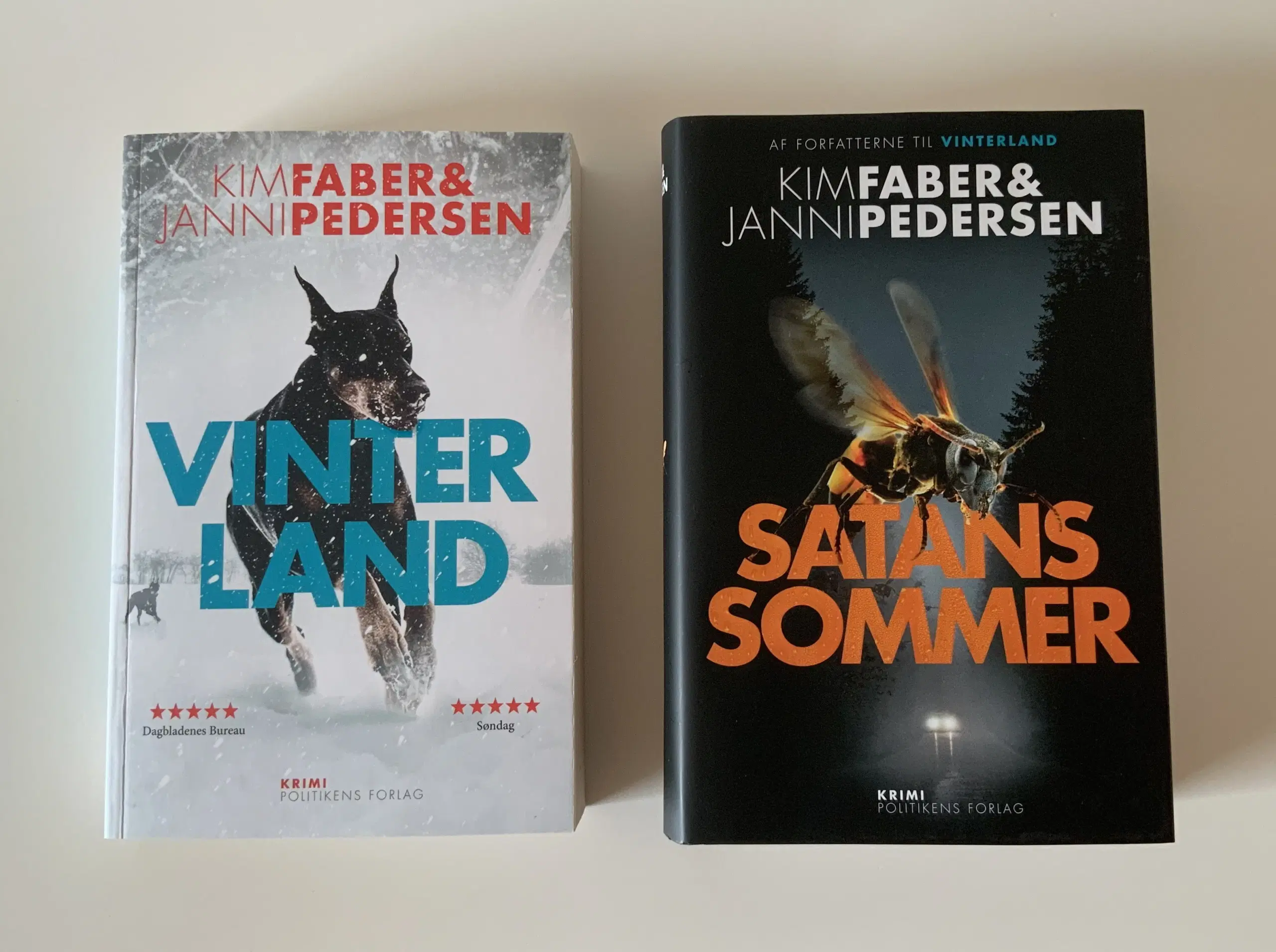 Vinterland  Satans sommer bøger
