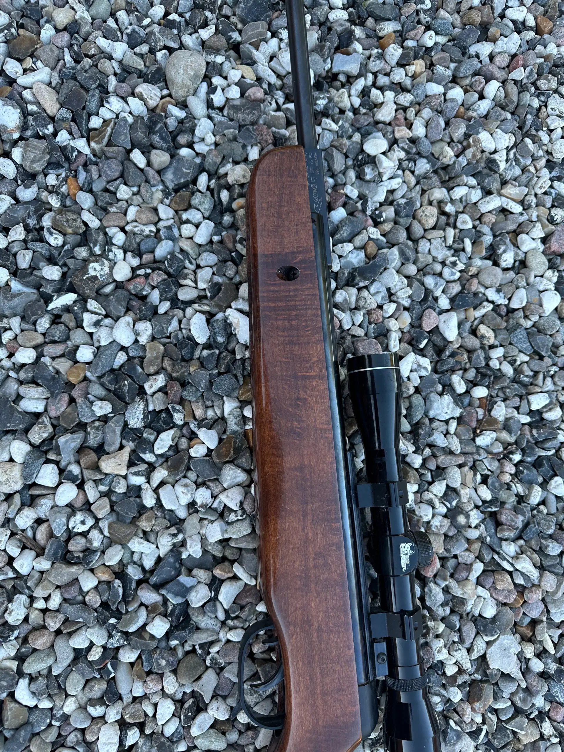 Gamo Hunter 880 luftgevær