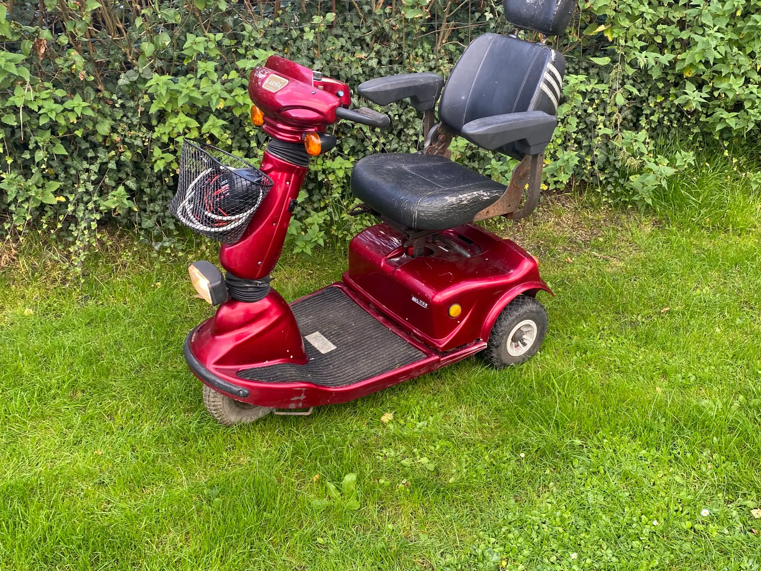 El scooter