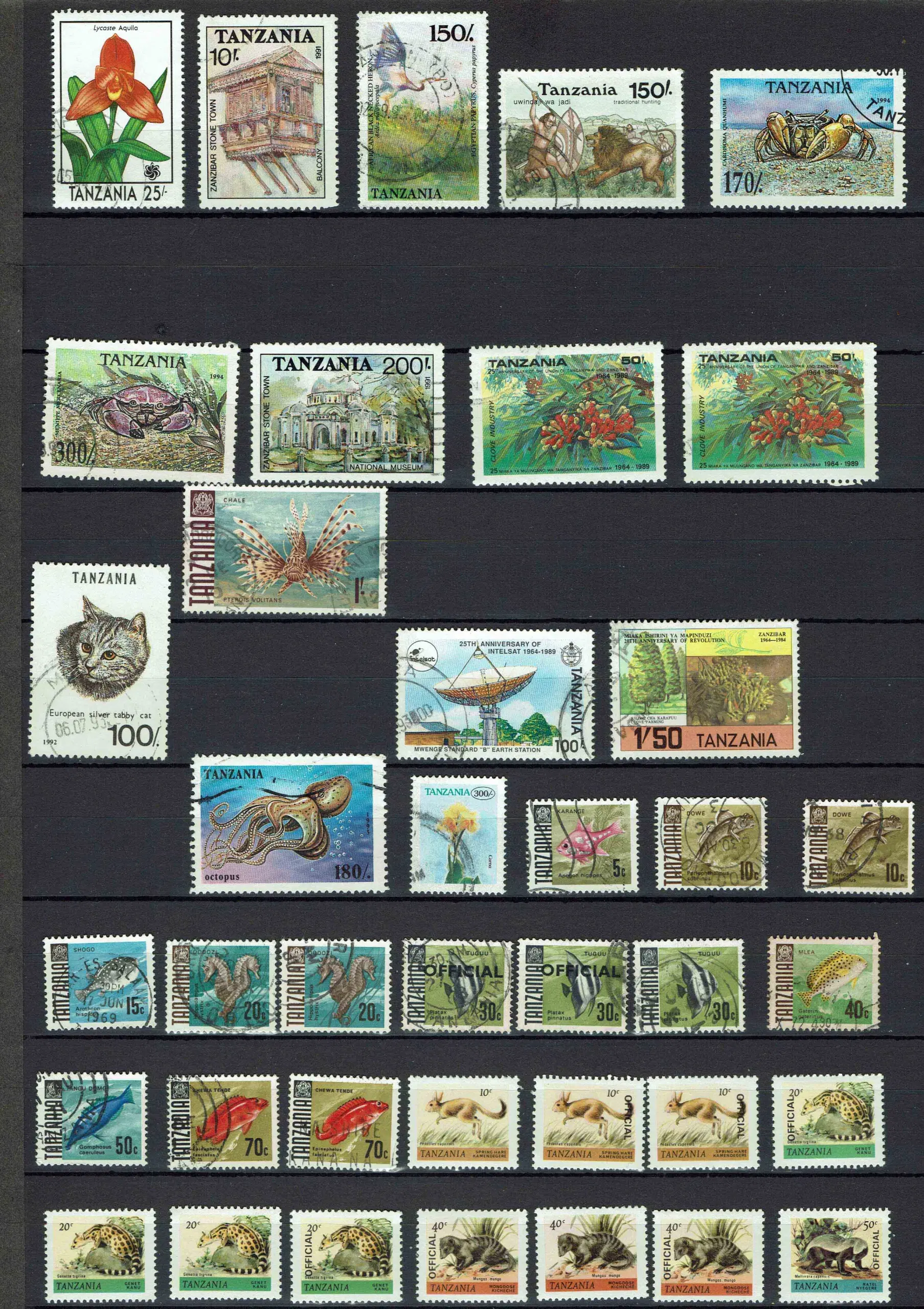 Tanganyika og Tanzania (1994)