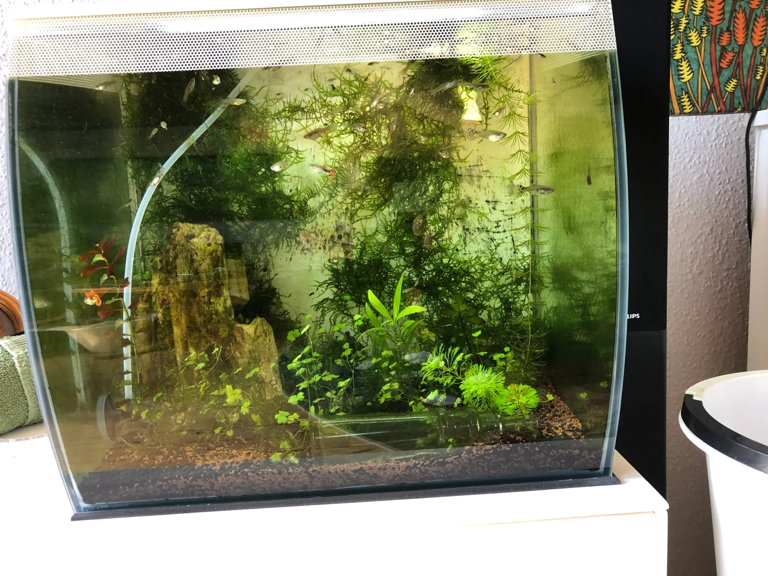 Akvarium Fluval