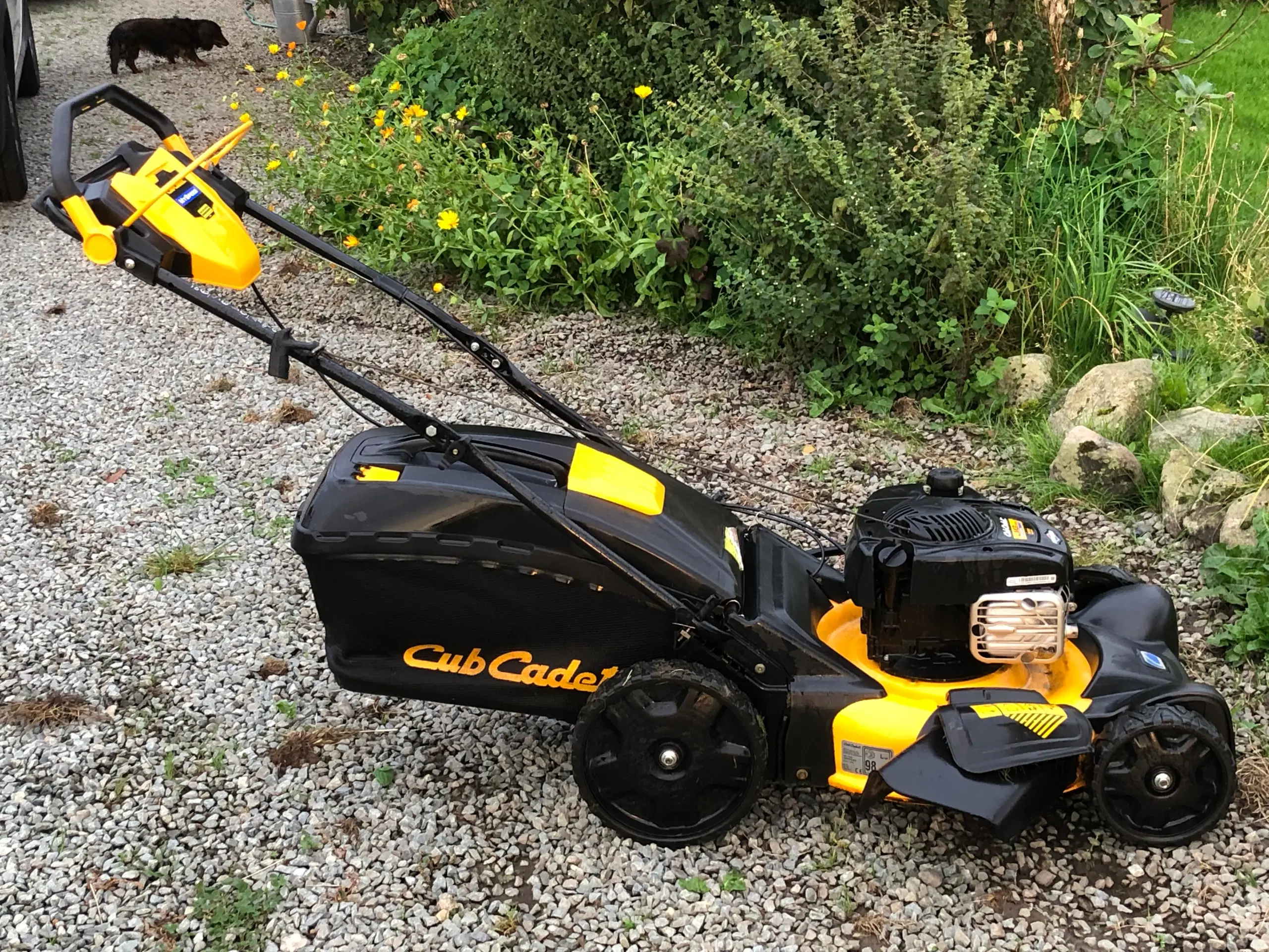 Cub Cadet variabel selvkør opsamler bio u/opsam