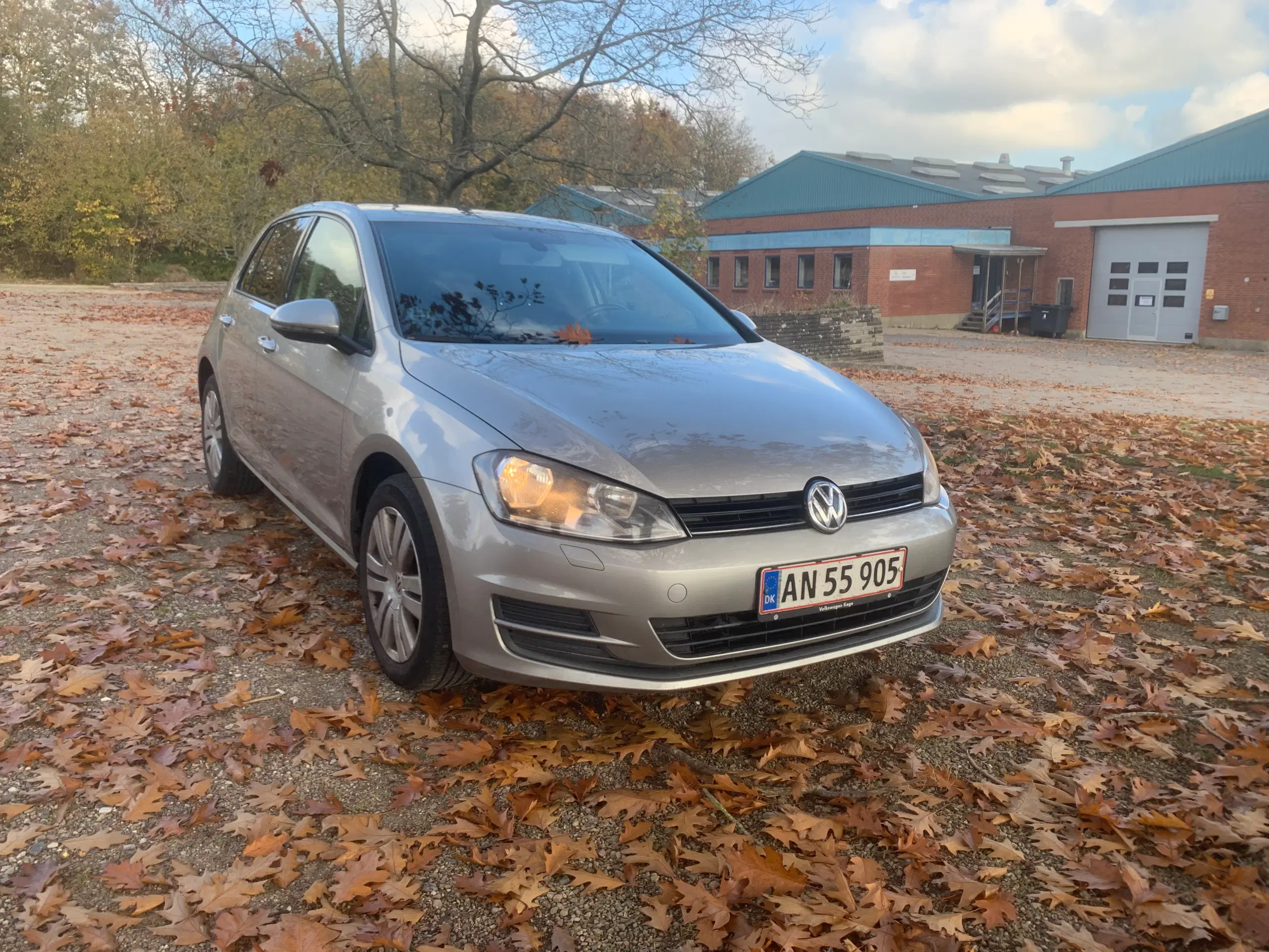 Billig golf 7 1,6 TDI til salg