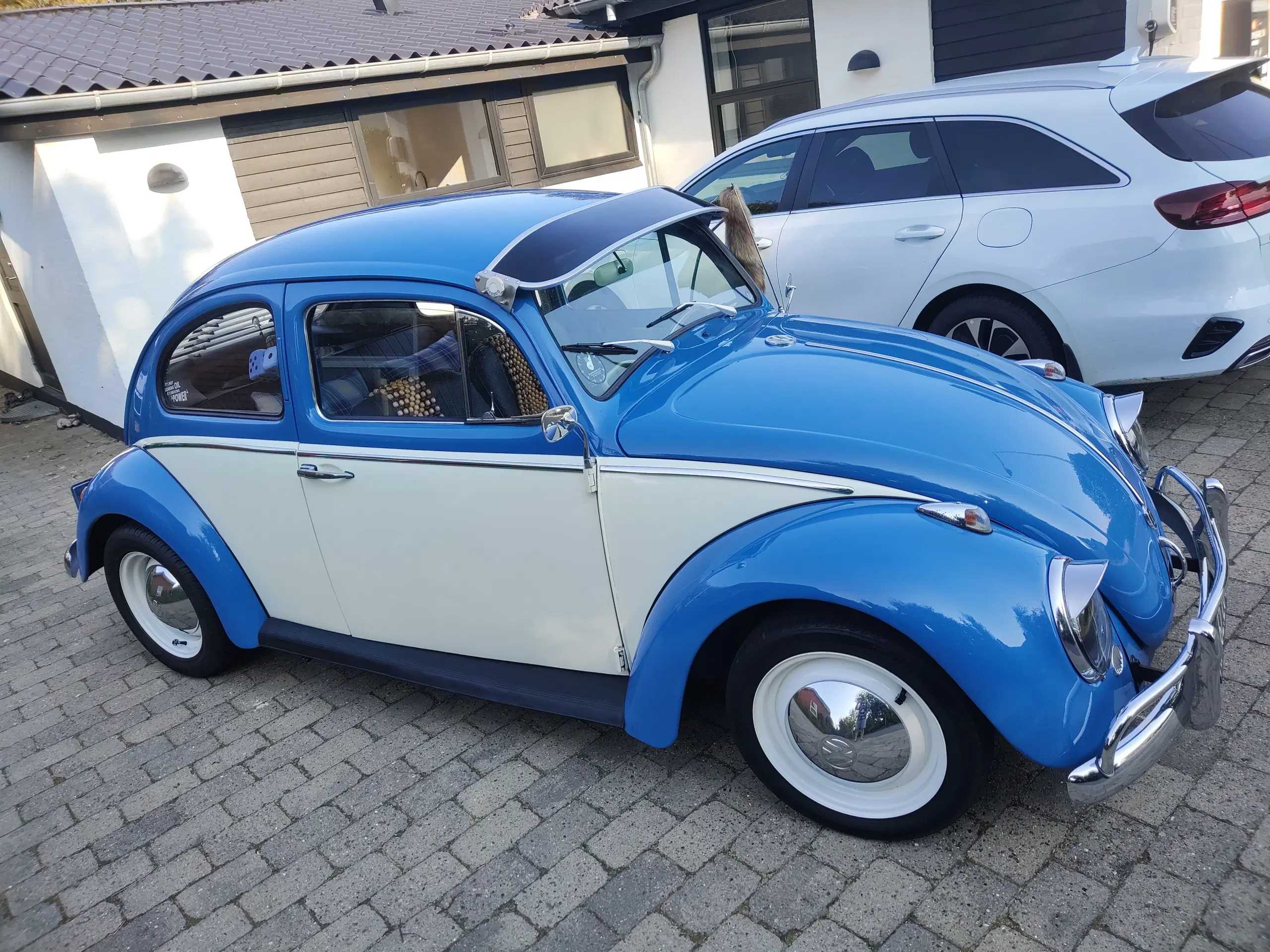 VW bobbel