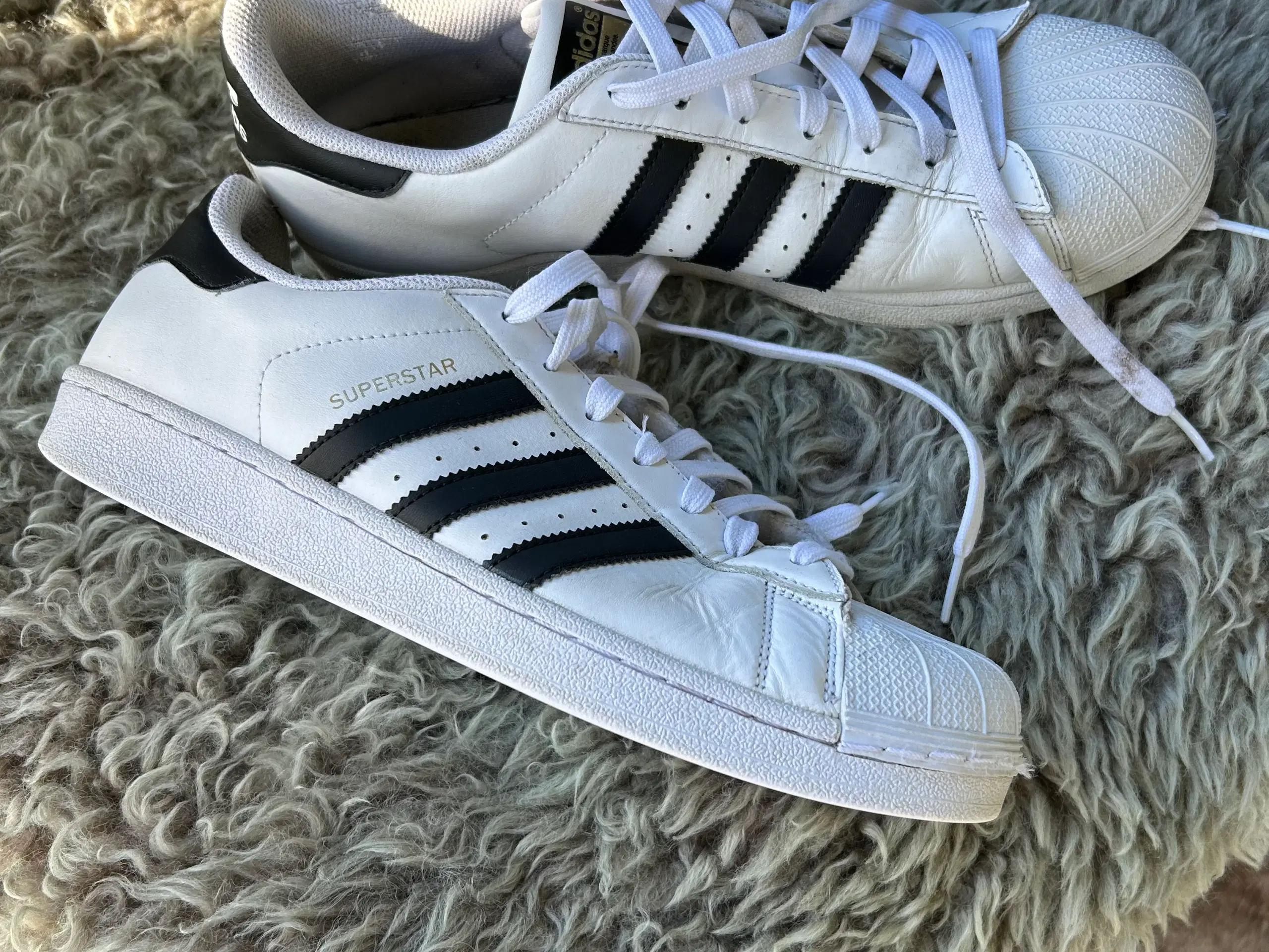 Adidas superstar