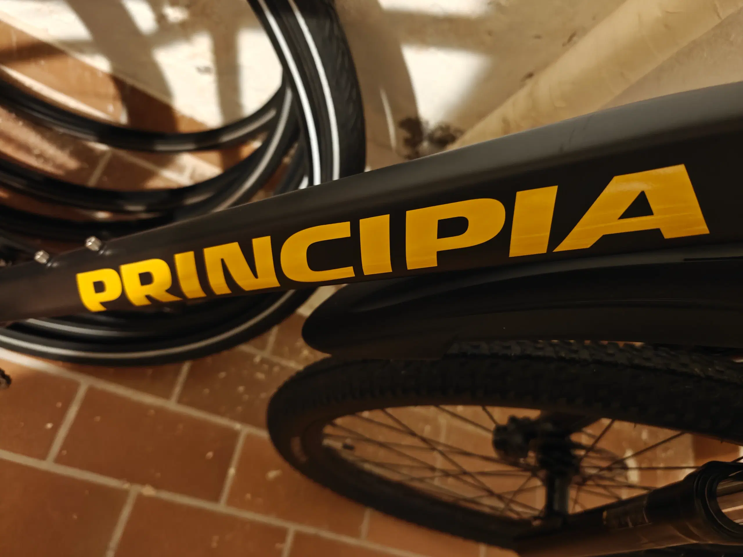 Principia 29"