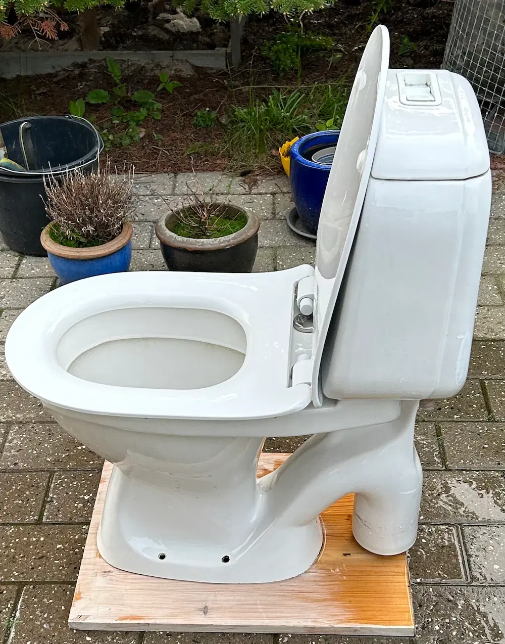 Toilet