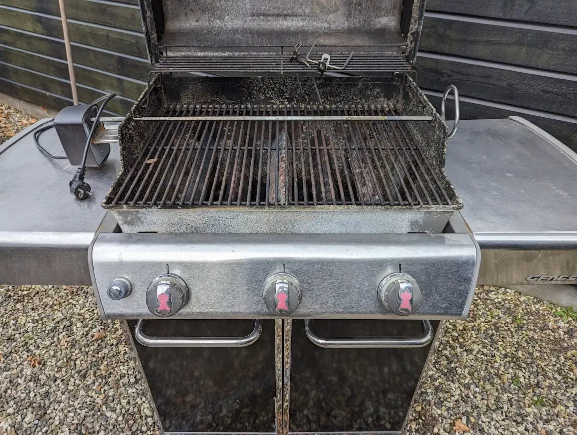 Weber Genesis