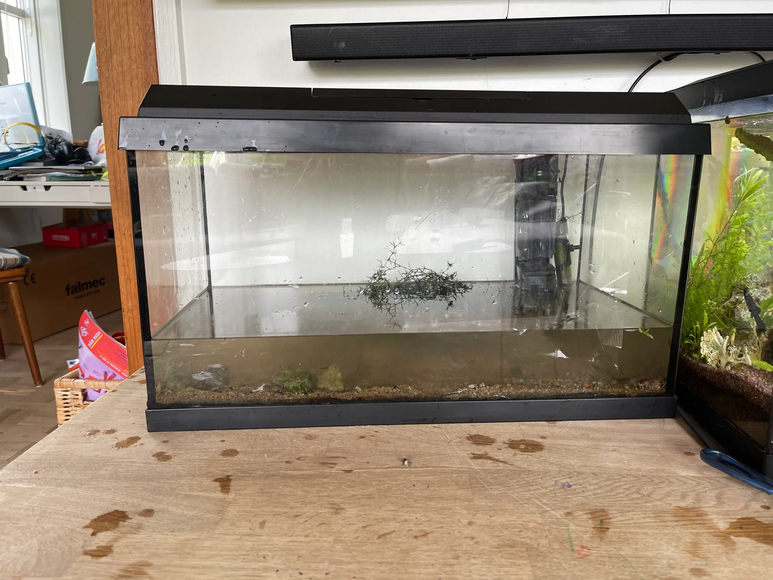 Akvarium inkl filter lys termometer